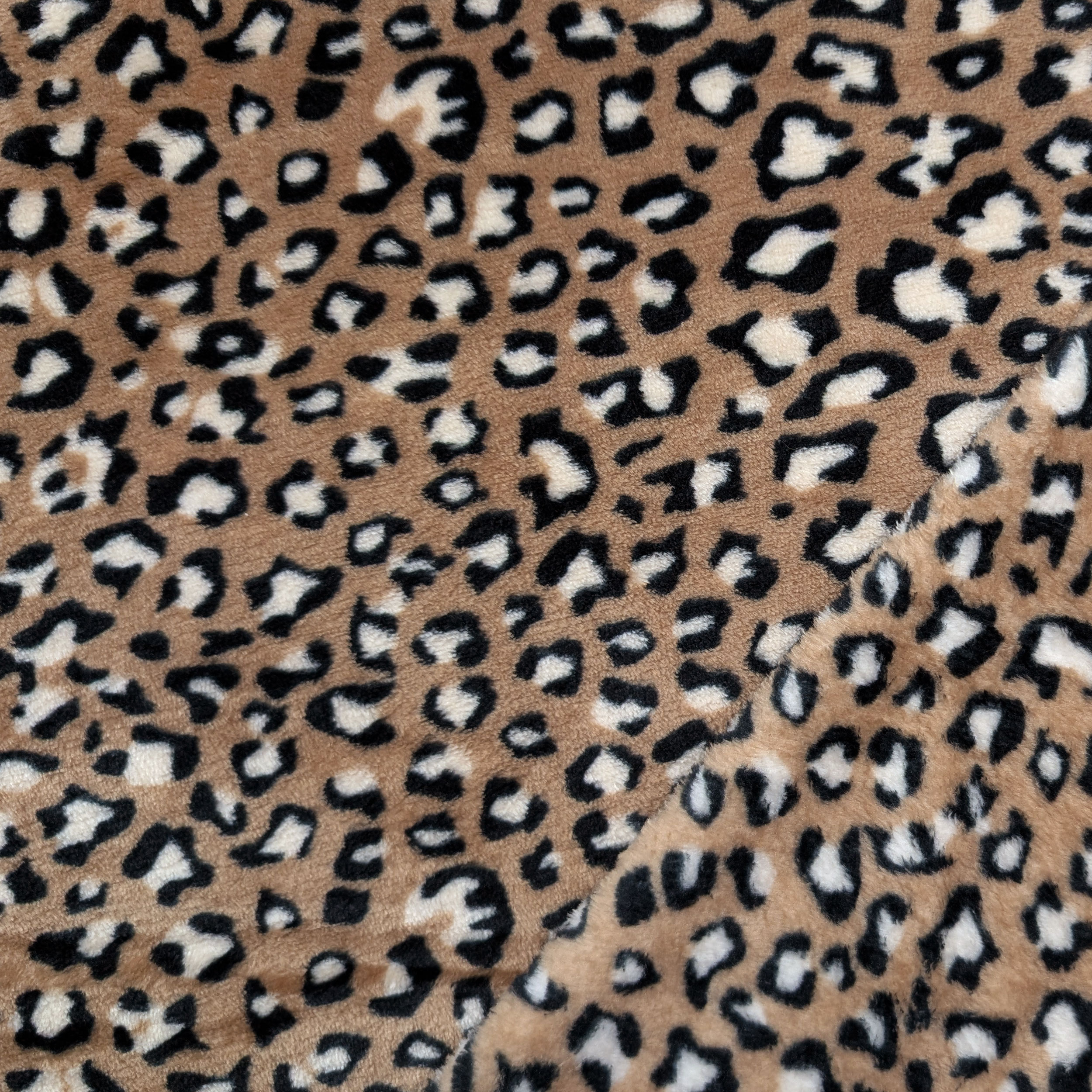 Pile Mano Cachemire Leopardato Marrone Image