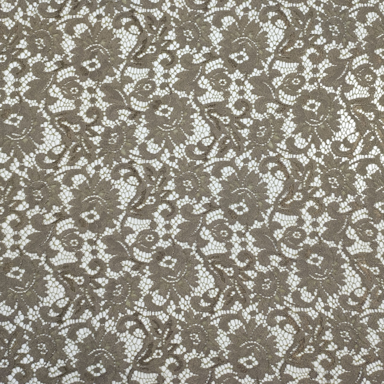 Tessuto Pizzo di Cotone Beige