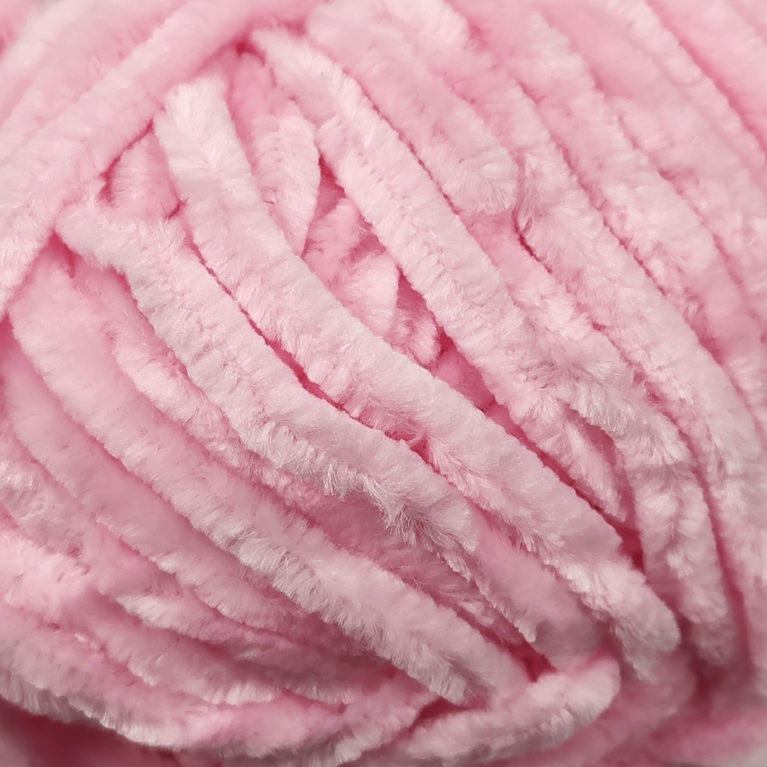 Rosa - 6