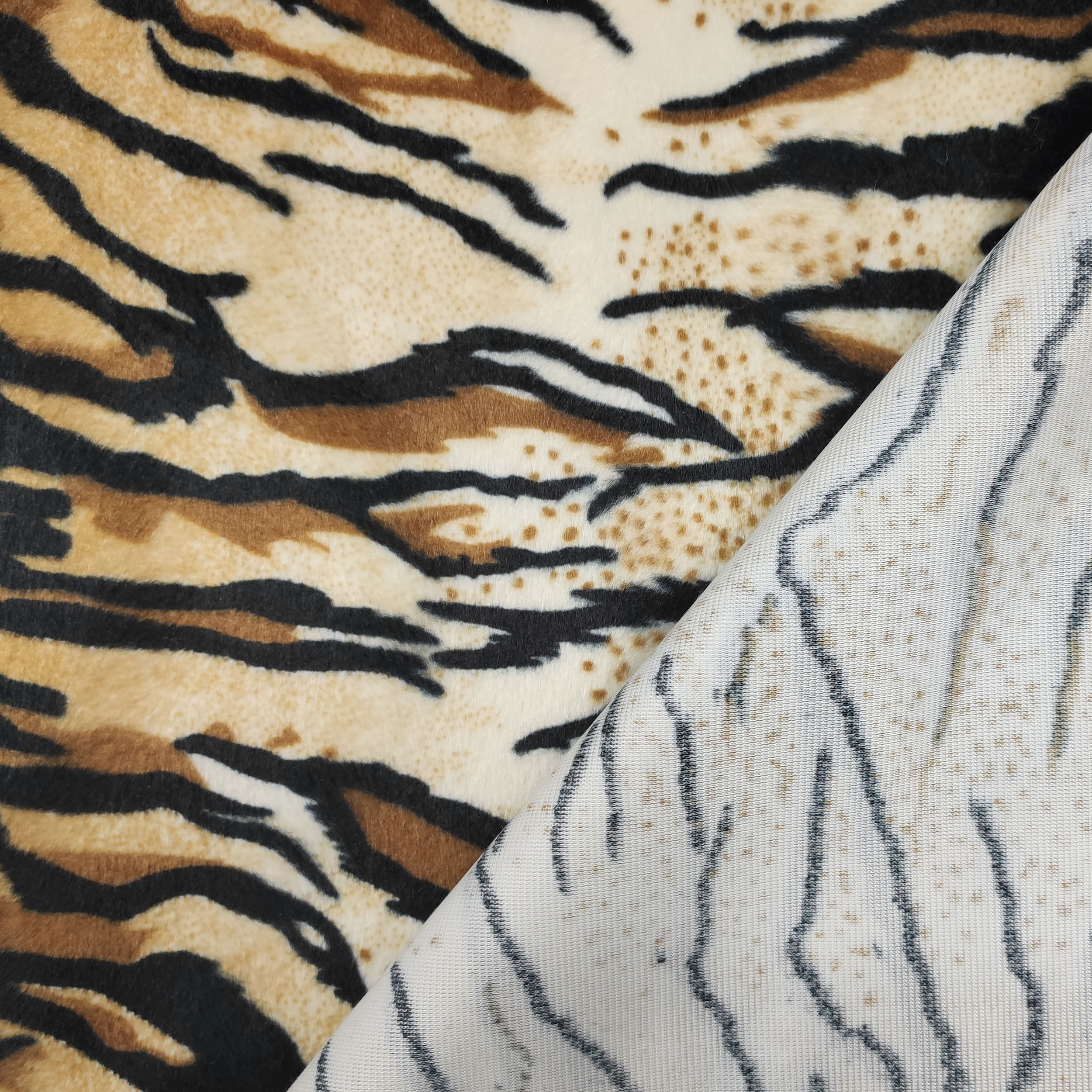 pelliccia tigrata (3)