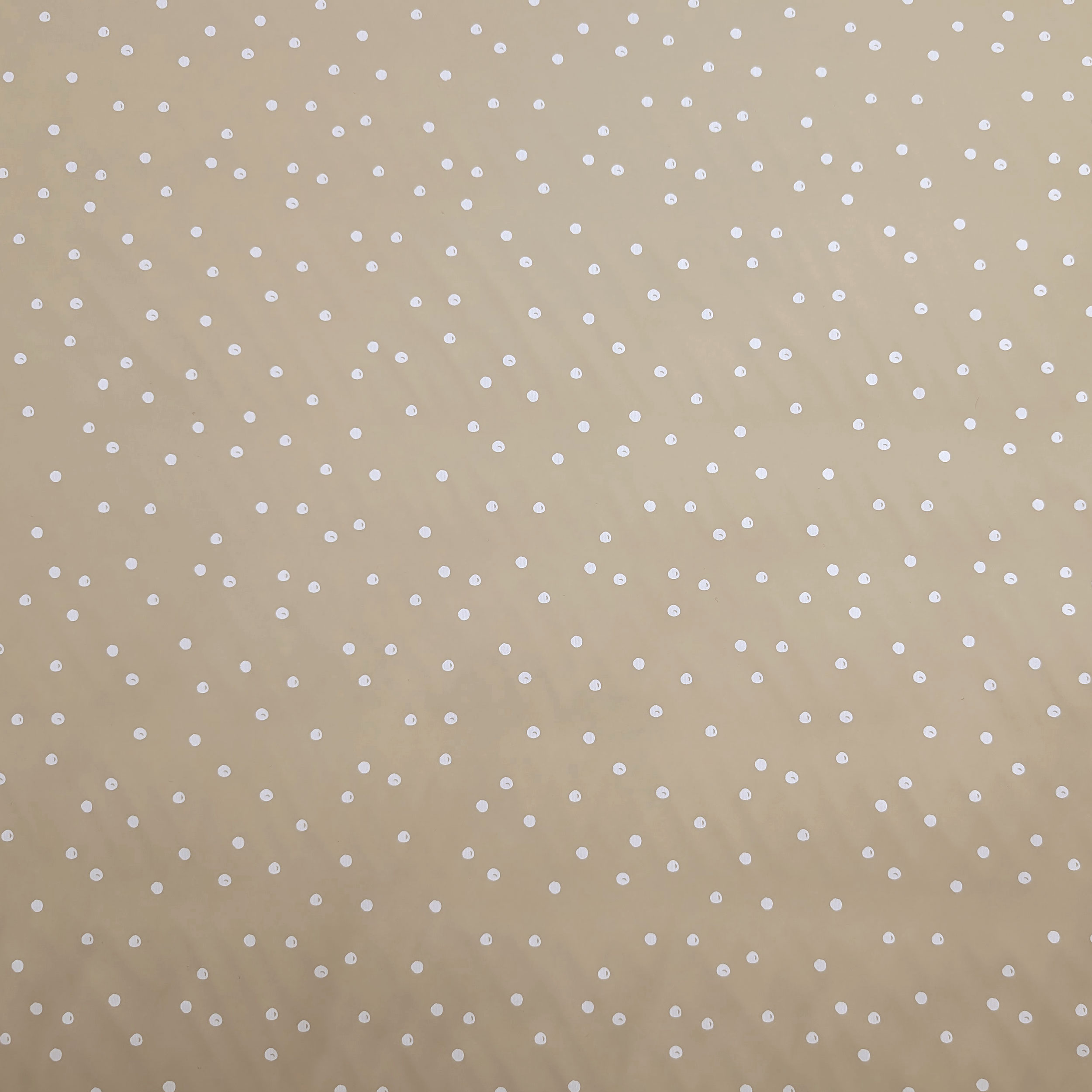 Impermeabile Pois Bianchi Sfondo Beige Image