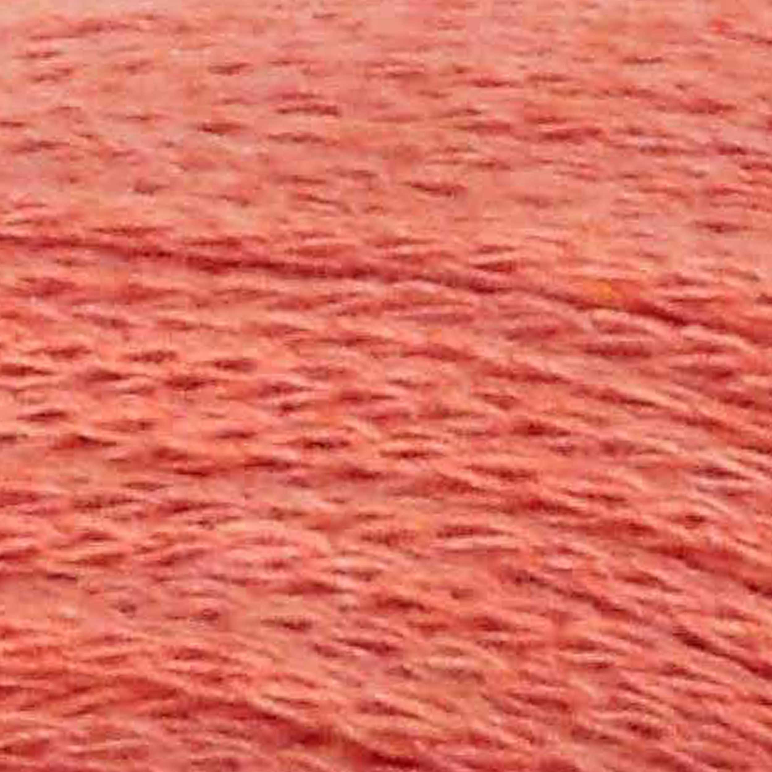Salmone - 105