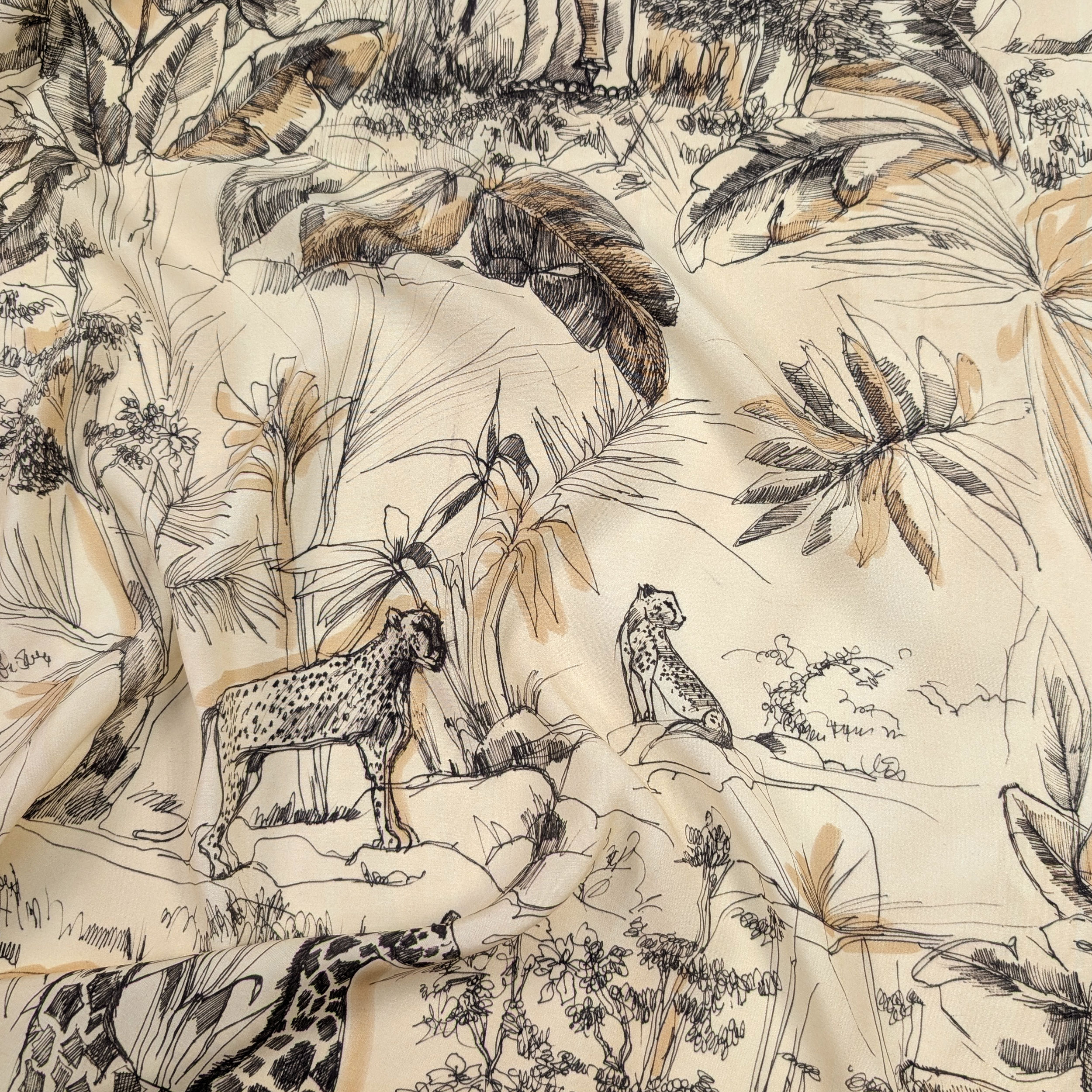 Cotone Safari Image