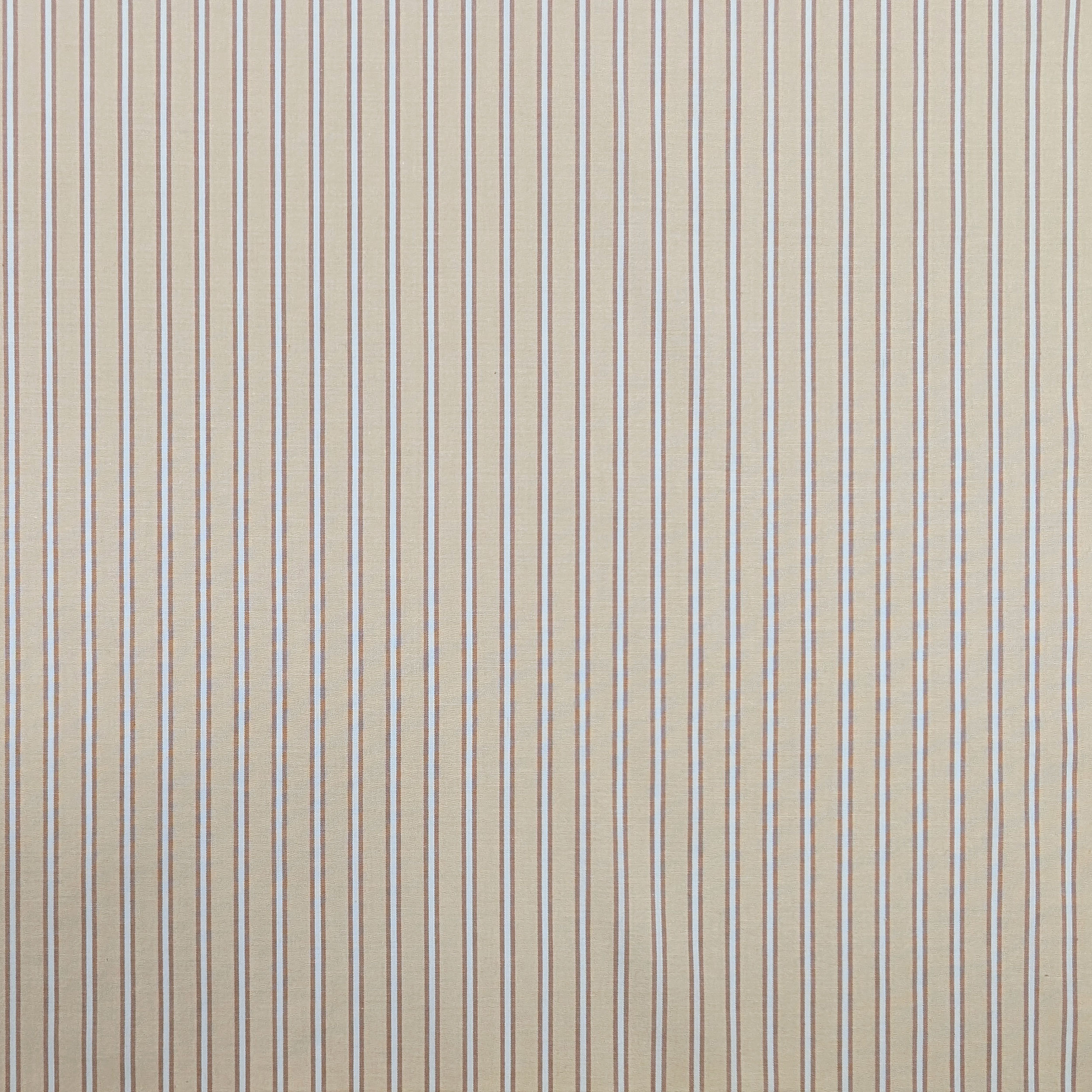 Cotone per Camiceria Elasticizzato Beige con Righe Image
