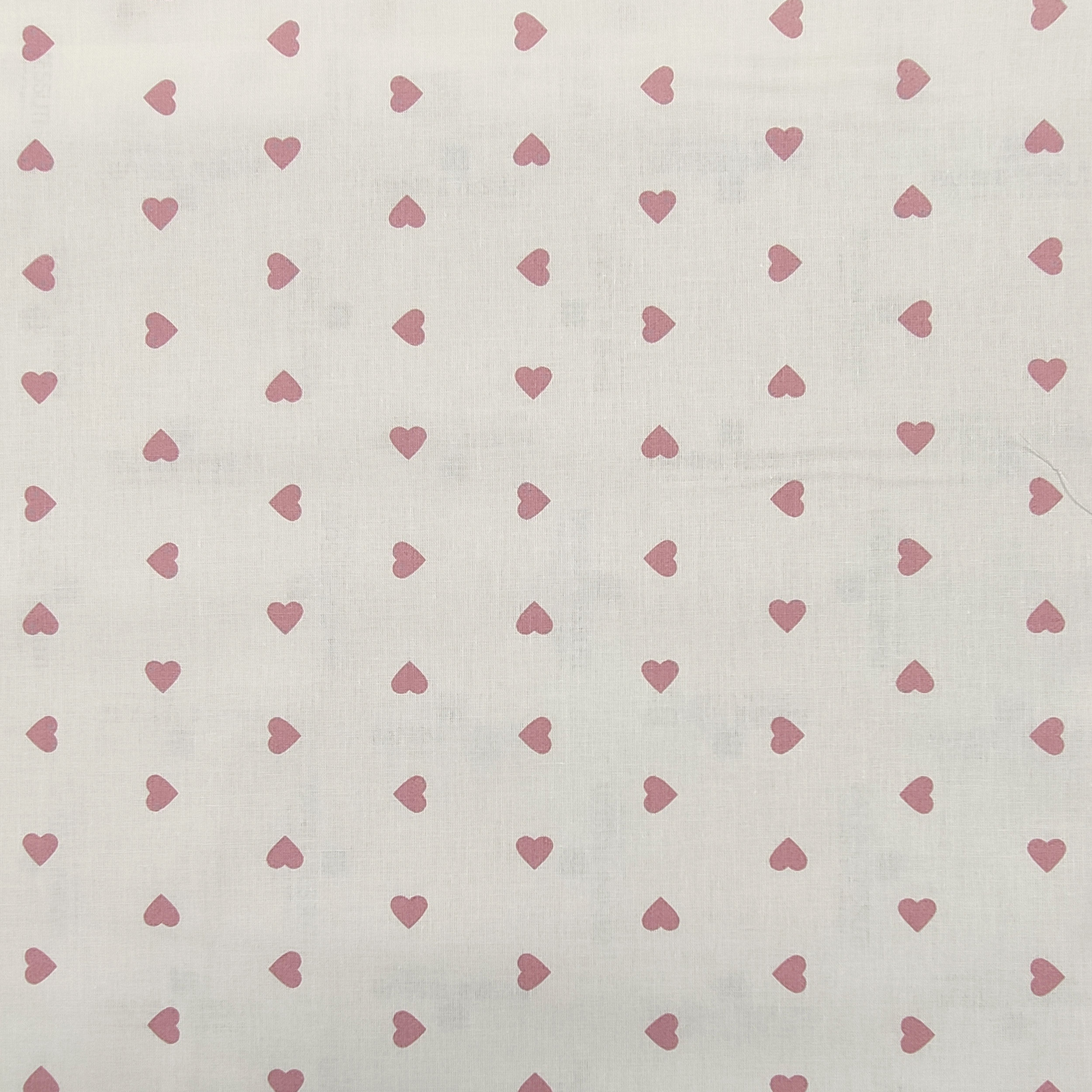 cuore rosa antico sfondo bianco