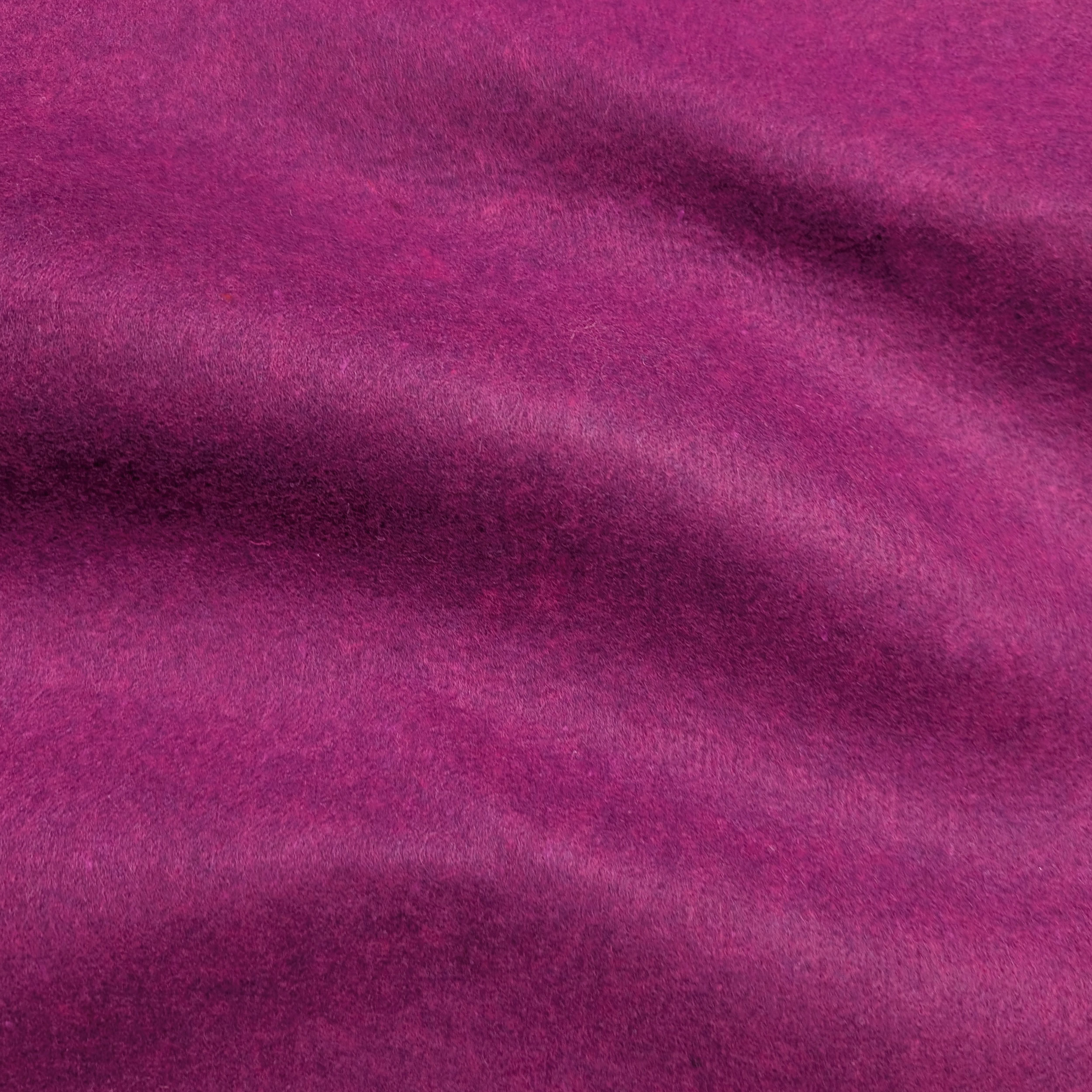 Feltro Image