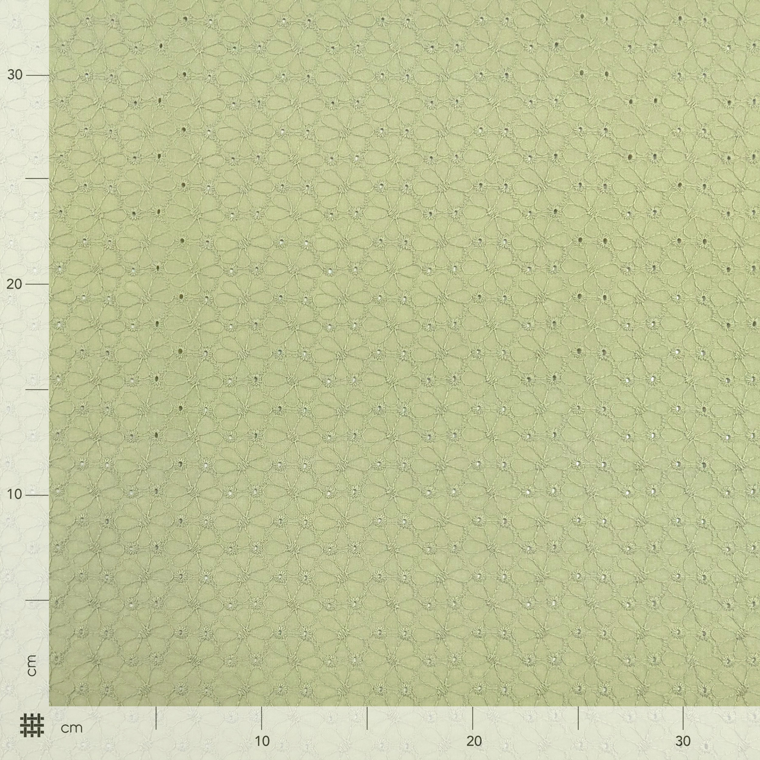 Sangallo Cotone Smerlato Salvia Margherite Image