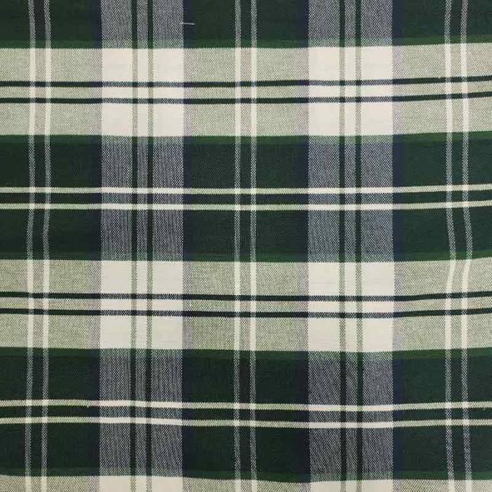 Scozzese verde 1 