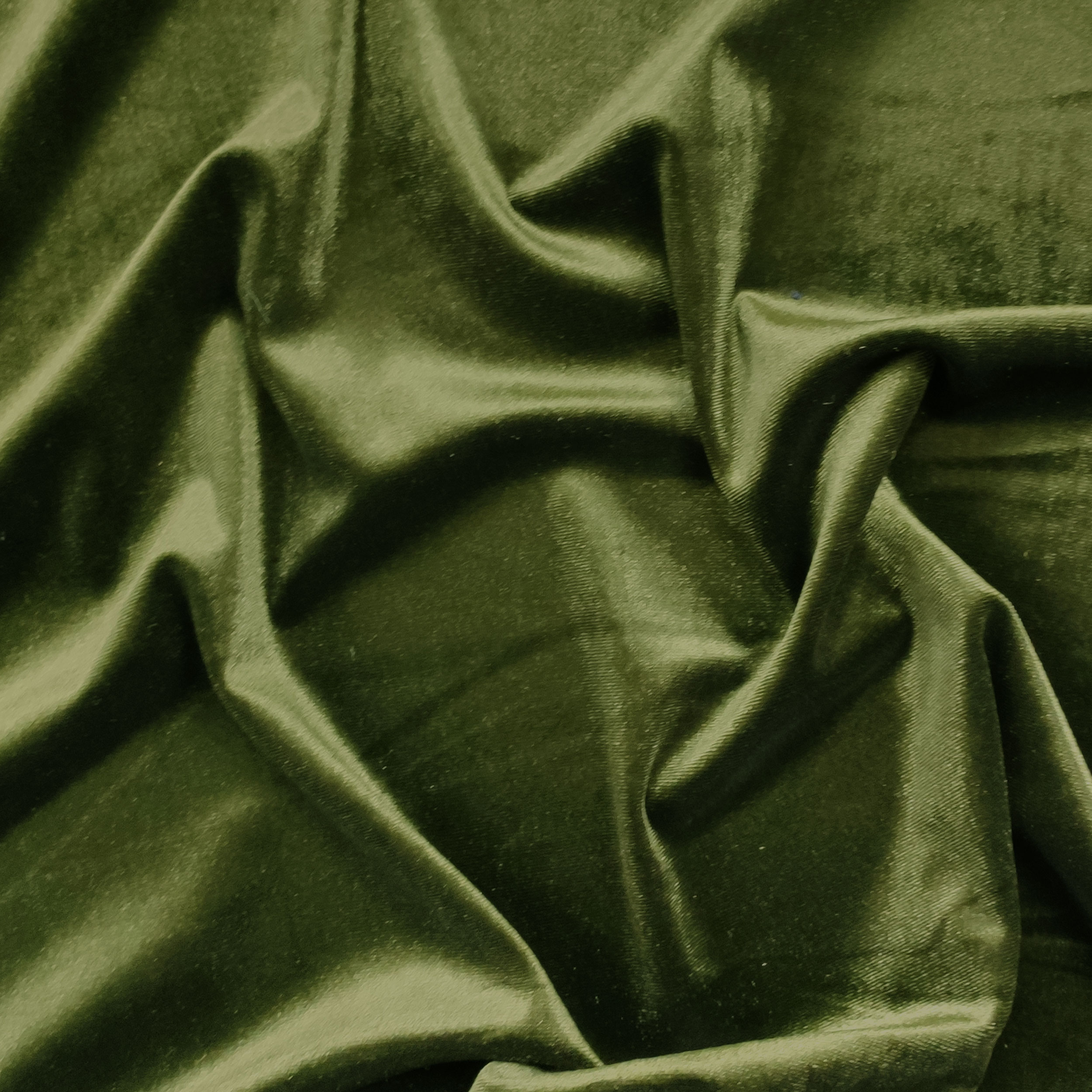 Vellutina Bielastica Image