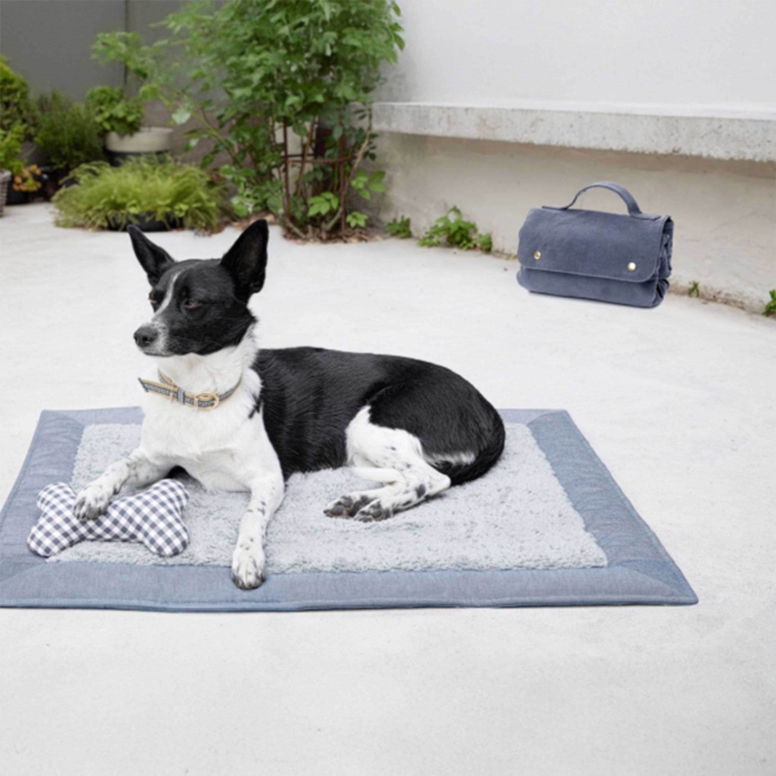 Cartamodello Burda Easy Accessori per Cani Image
