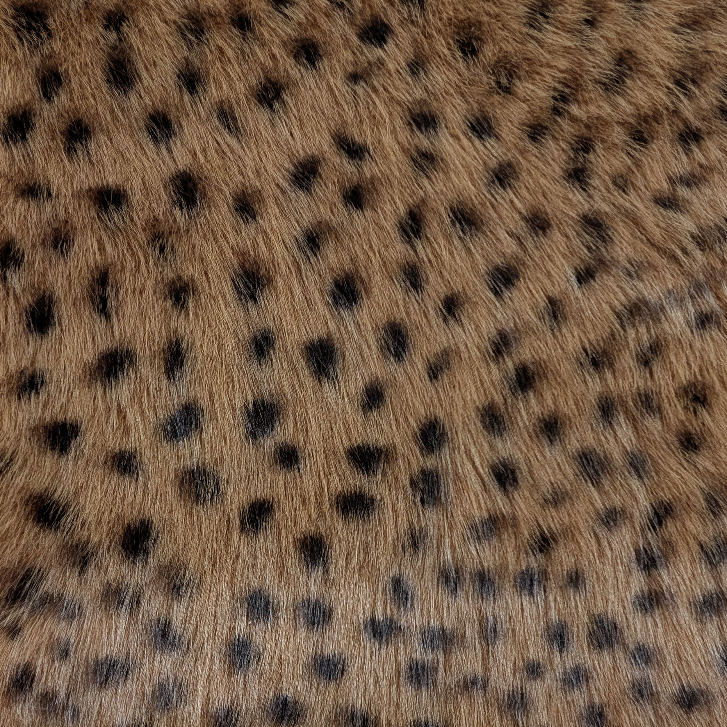 Pelliccia Sintetica Lince Biscotto Image
