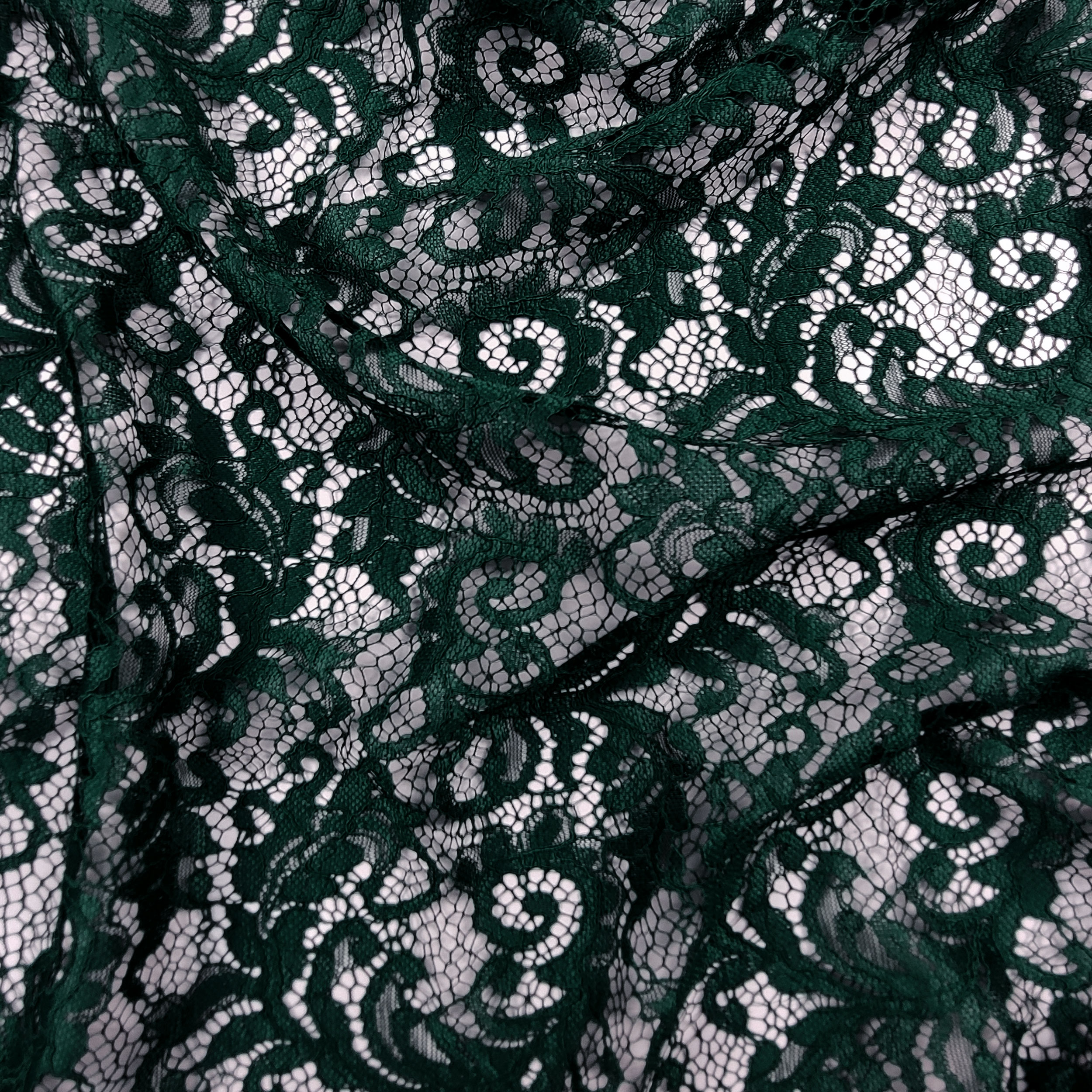 Pizzo Micky Image