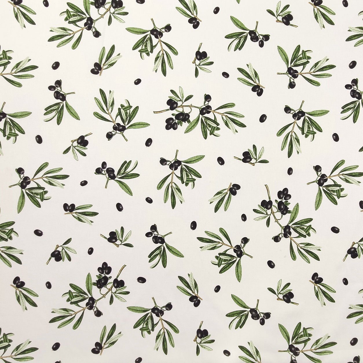 Ritaglio Tessuto Panama Olive Nere Sfondo Bianco 50x140 cm