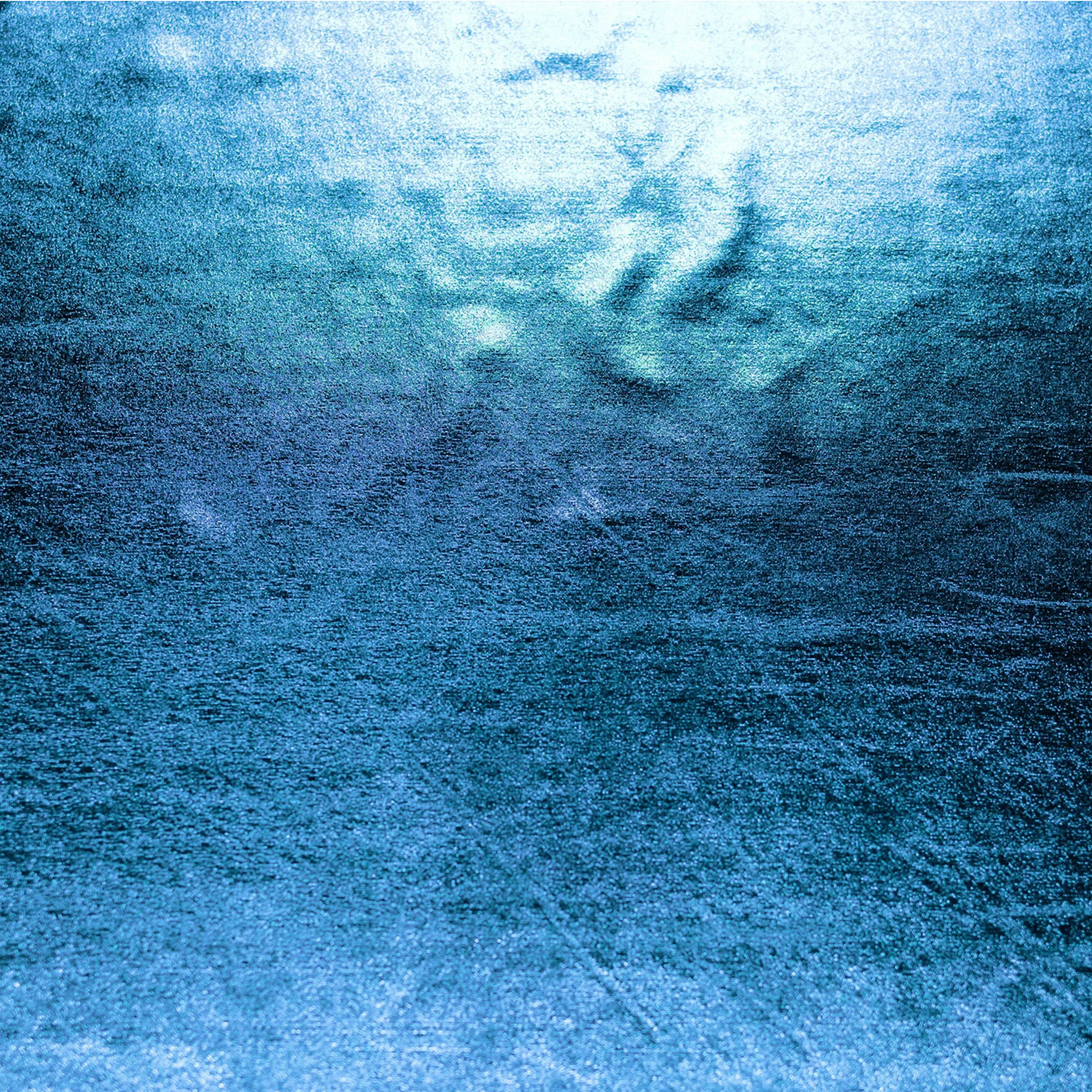  Tessuto Lycra Effetto Metallico Special Image