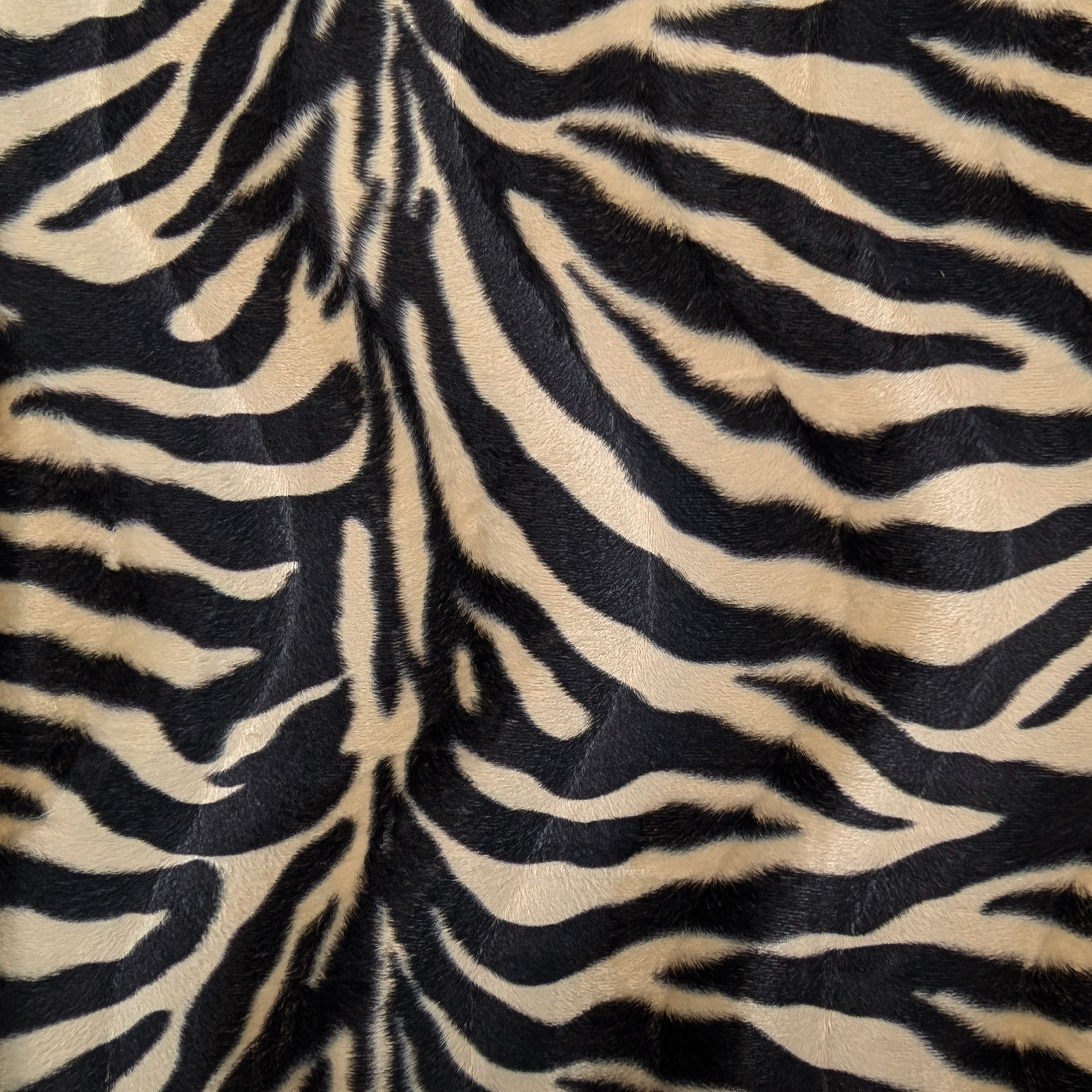 Cavallino Zebrato Marrone  Image