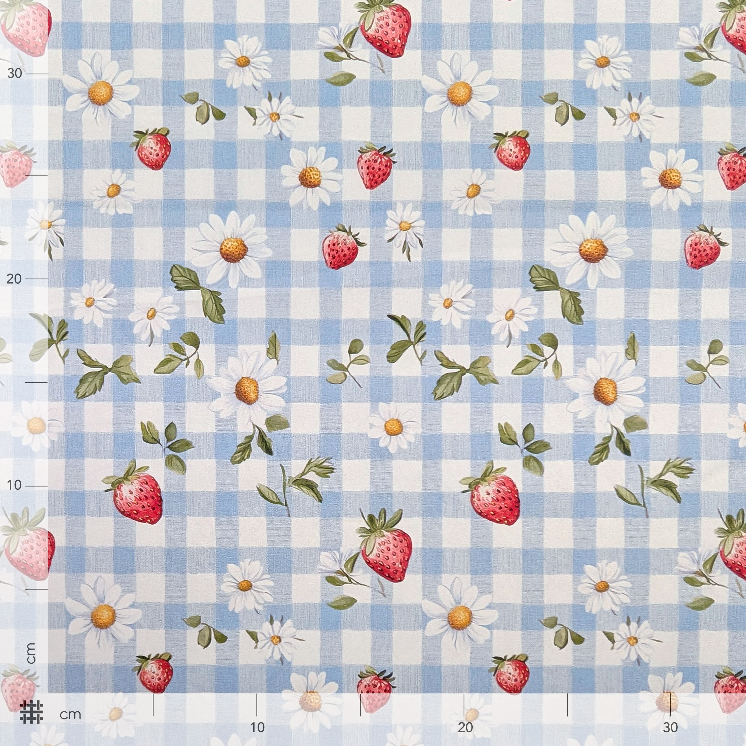 Popeline Cotone Quadretti Celesti e Fragole Image