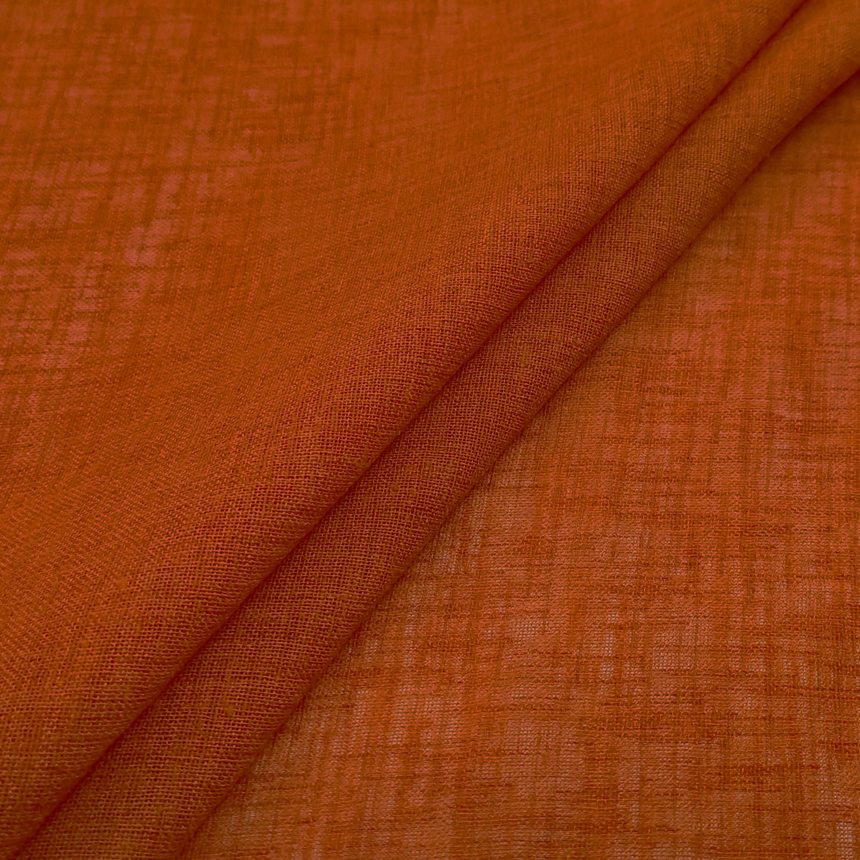 Zucca - 11