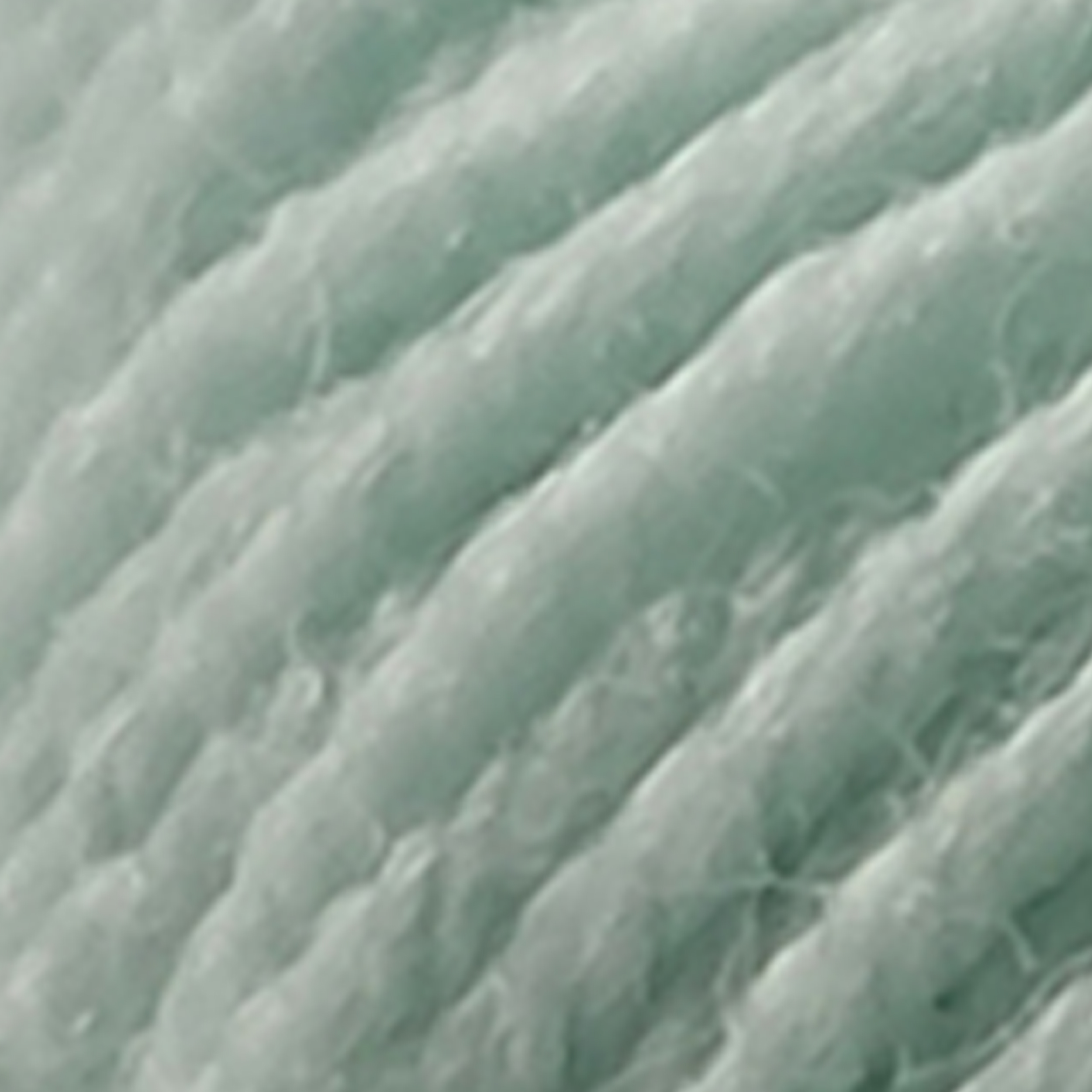 Verde Acqua - 489