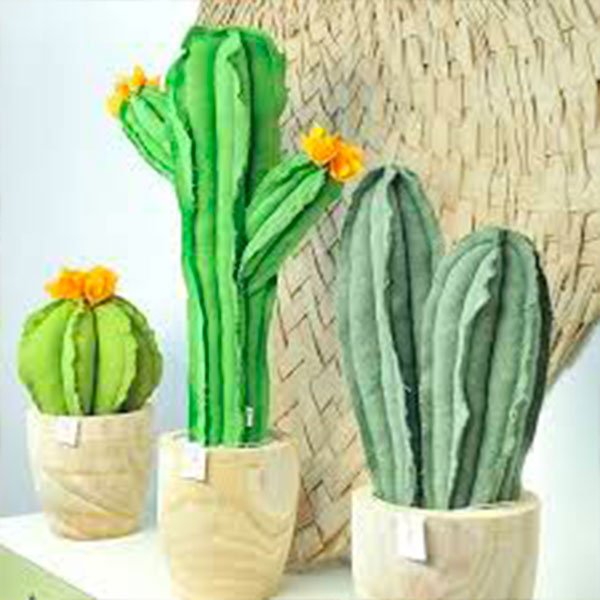 cactus-bomboniere