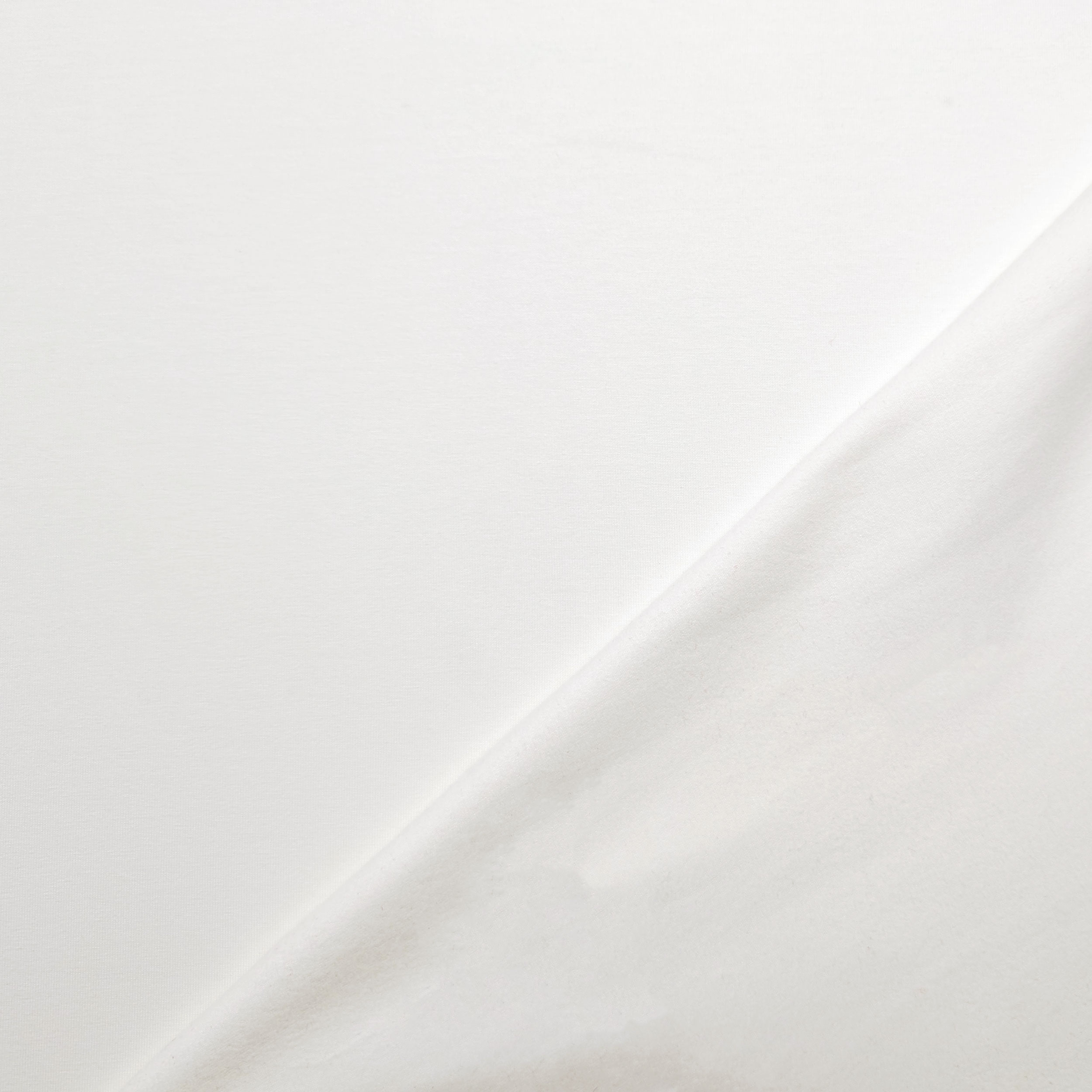 Jersey di Cotone Felpato Bianco Image