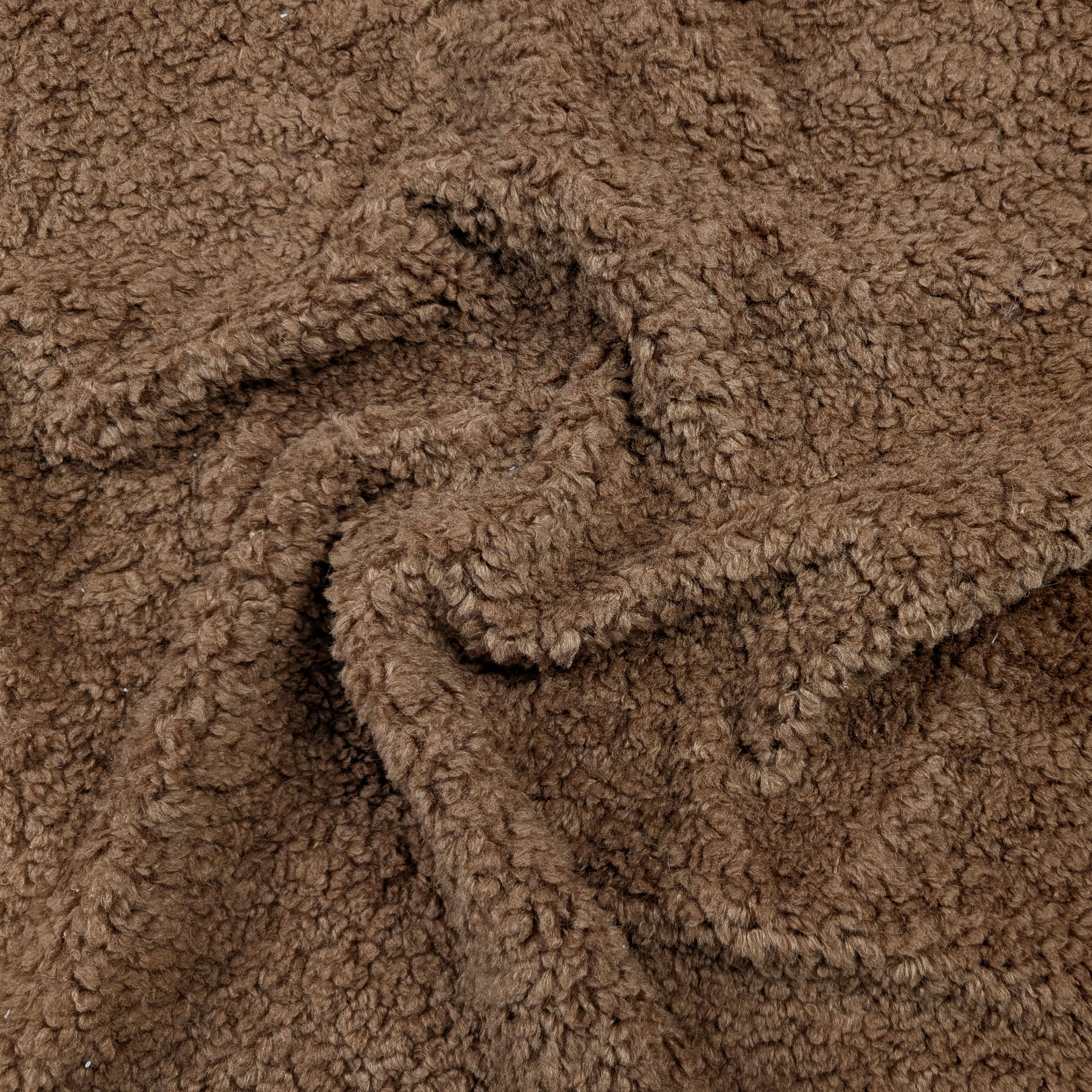 Pelliccia Teddy Special Biscotto Image
