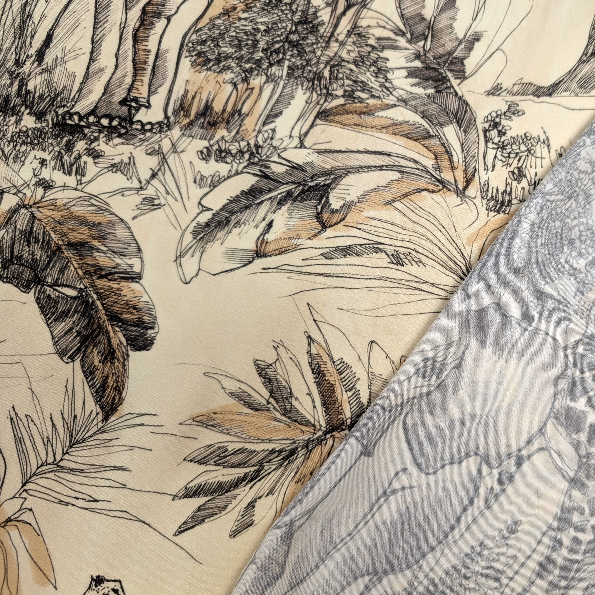 Cotone Safari Image