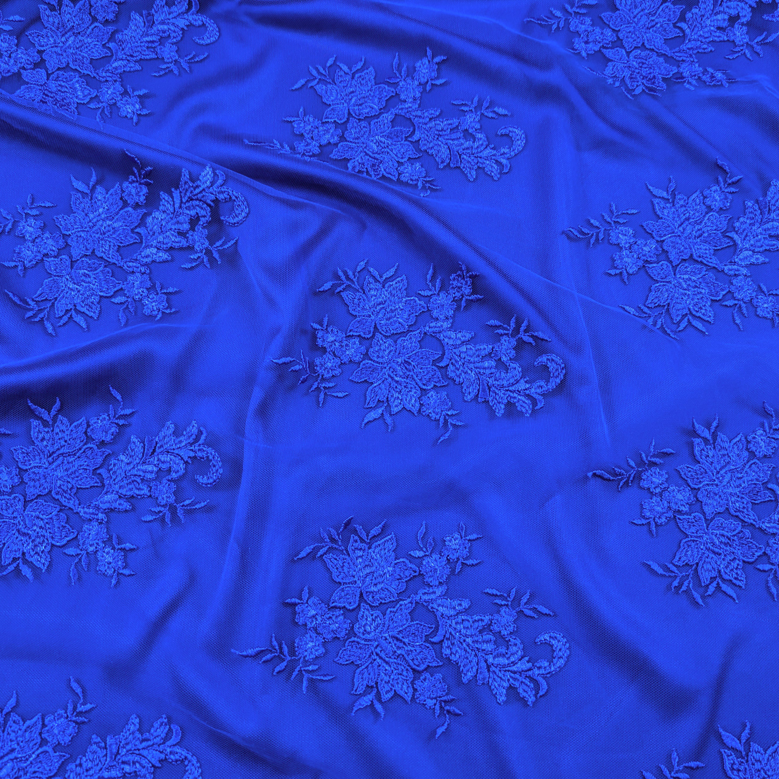Pizzo Alta Moda Doppio Bordo Bluette Image