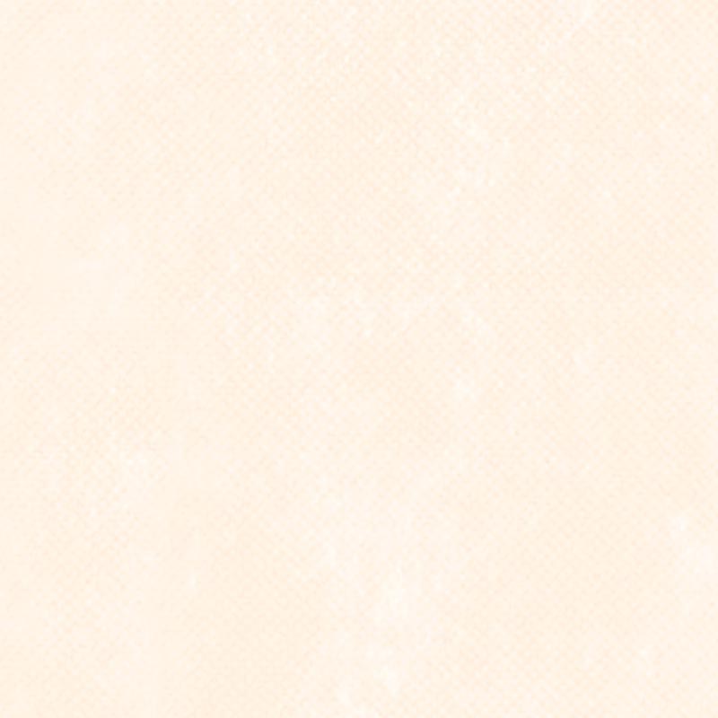 Tessuto Non Tessuto TNT ECOK Image