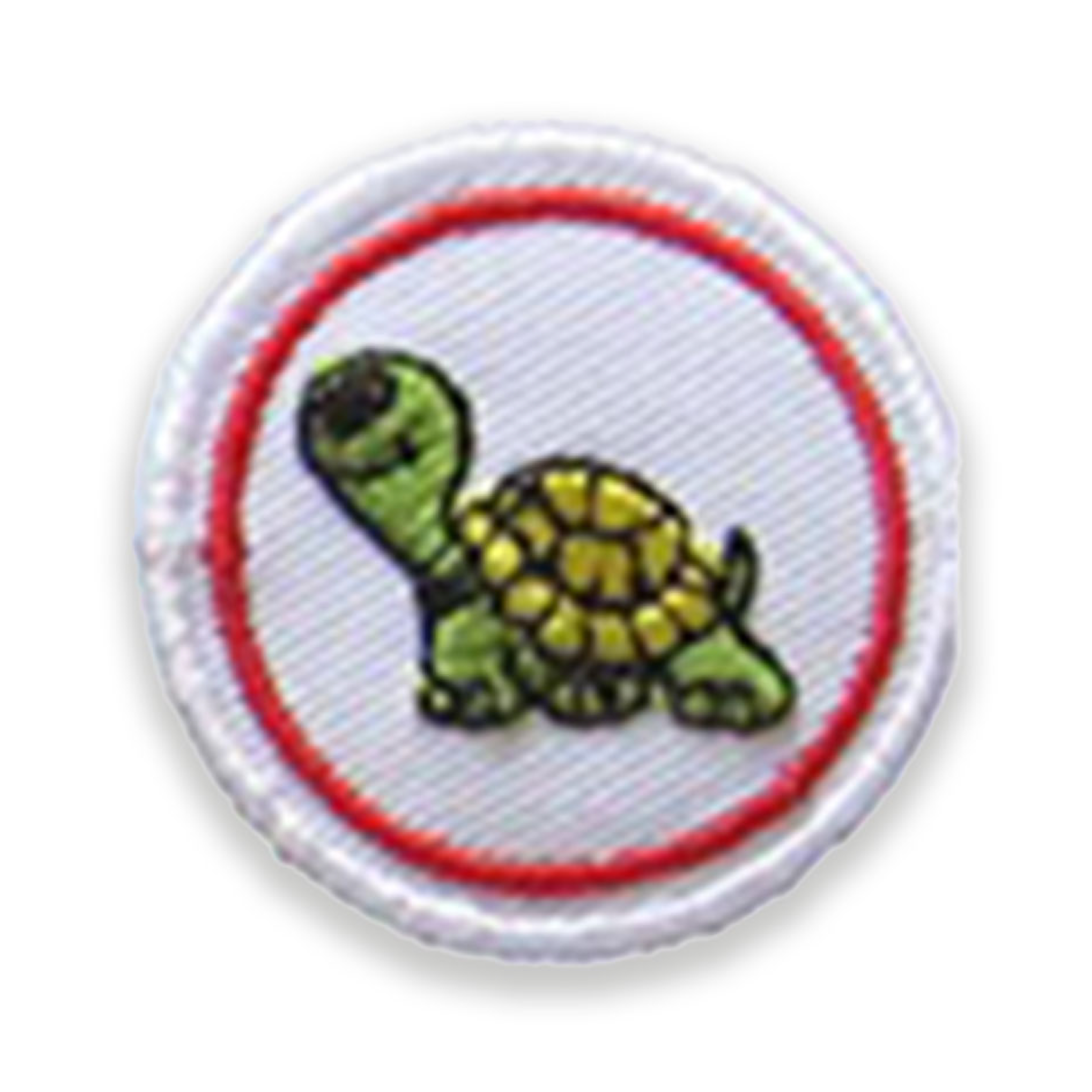 Tartaruga