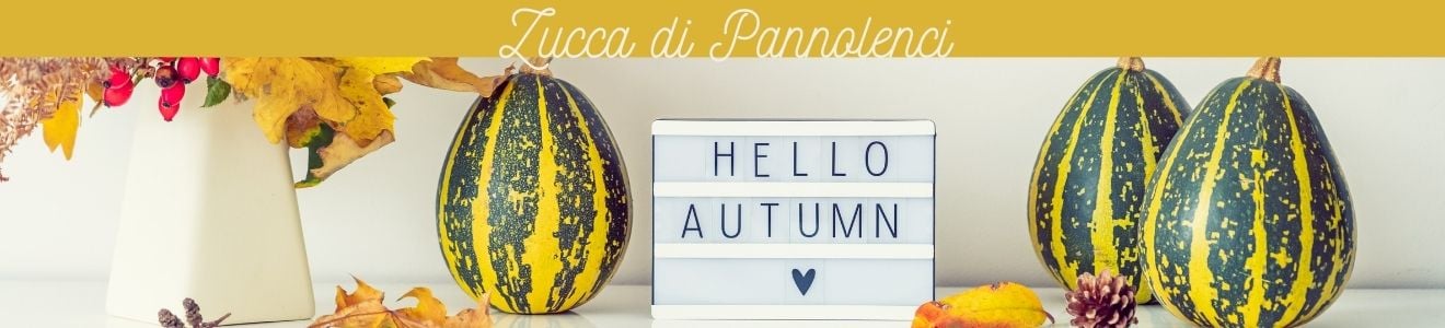 idee-decorazioni-originali-zucca