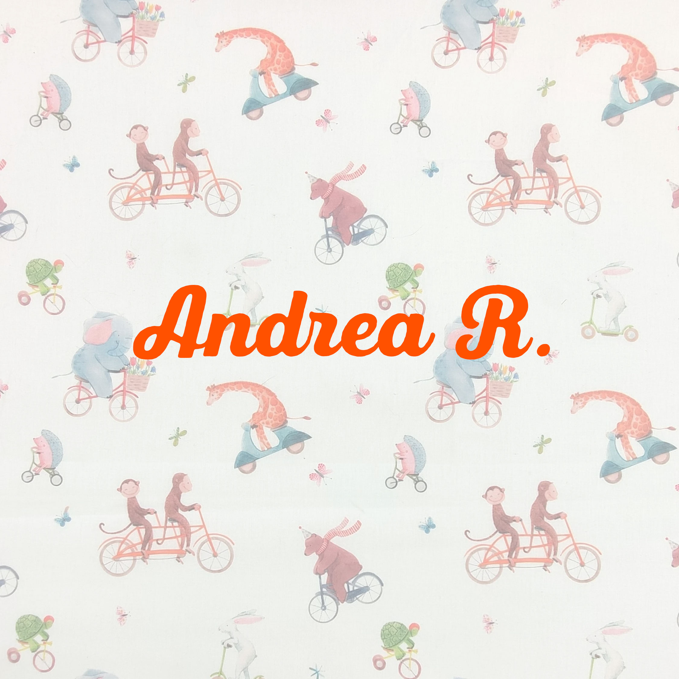 animali-in-bicicletta-ricamo-nome