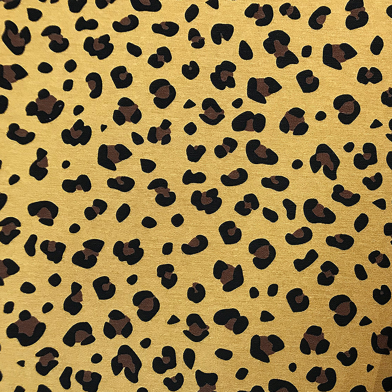 fantasia-leopardata