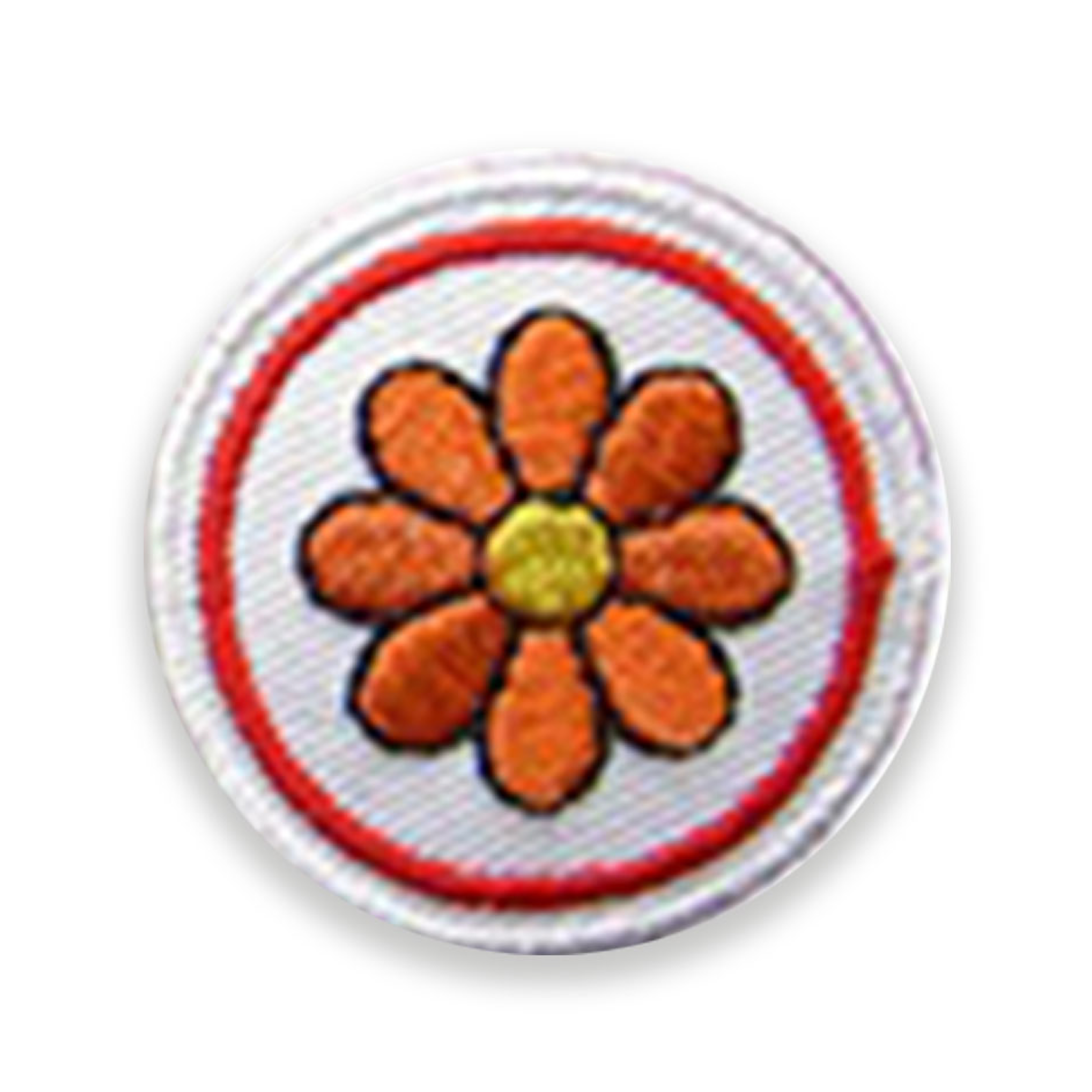 Fiore