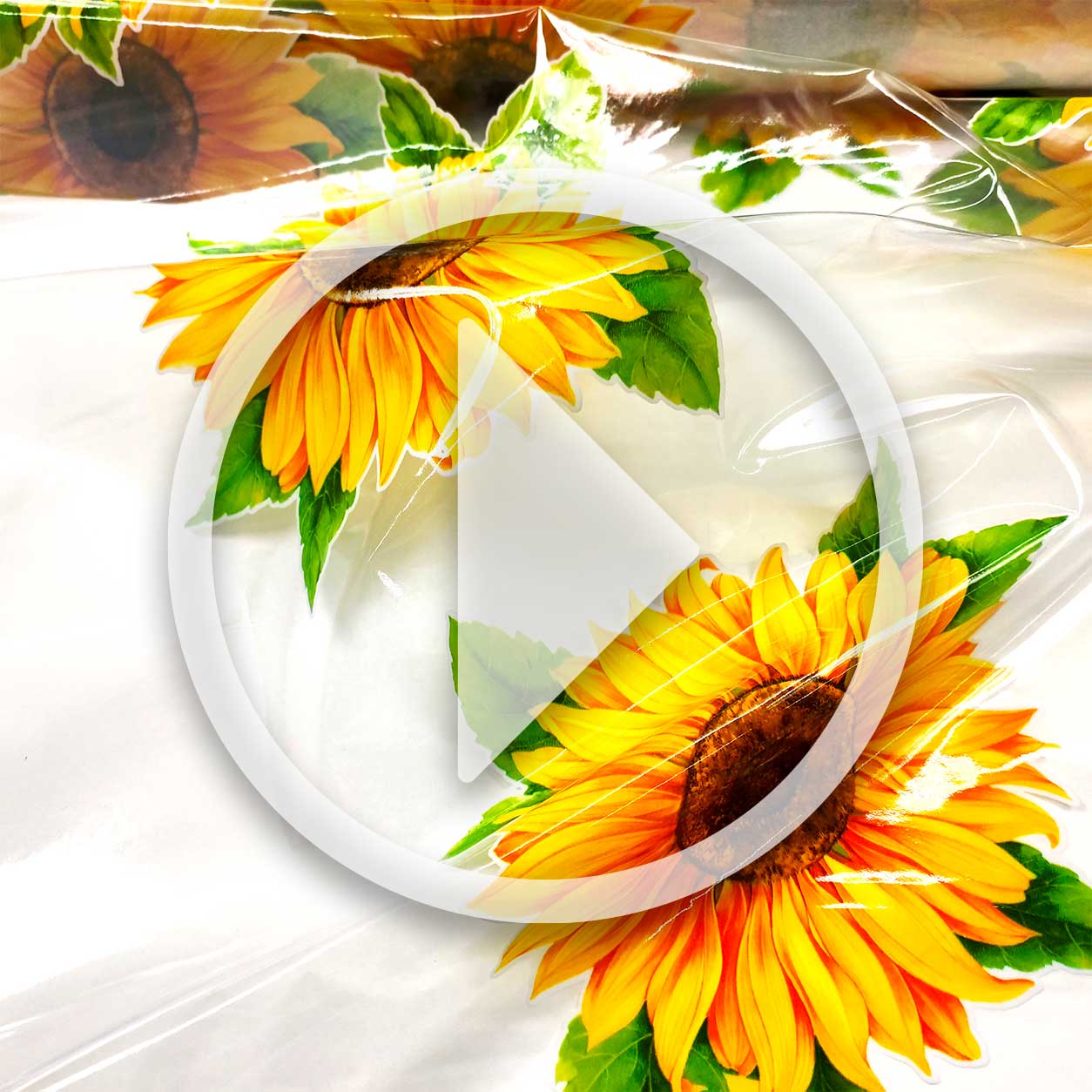 Tessuto per Tovaglia Plastificata Trasparente con Girasoli Image