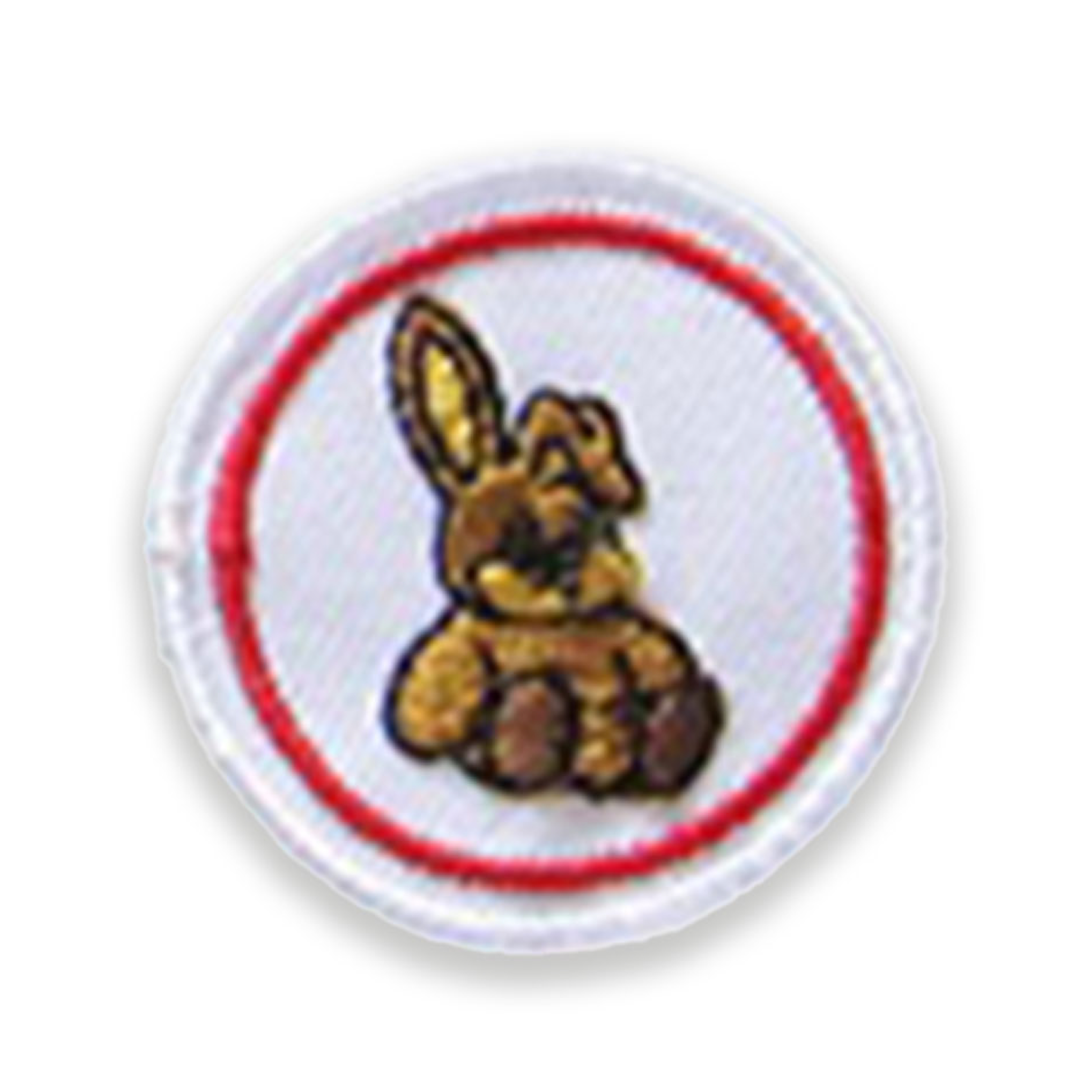 Coniglio Peluche