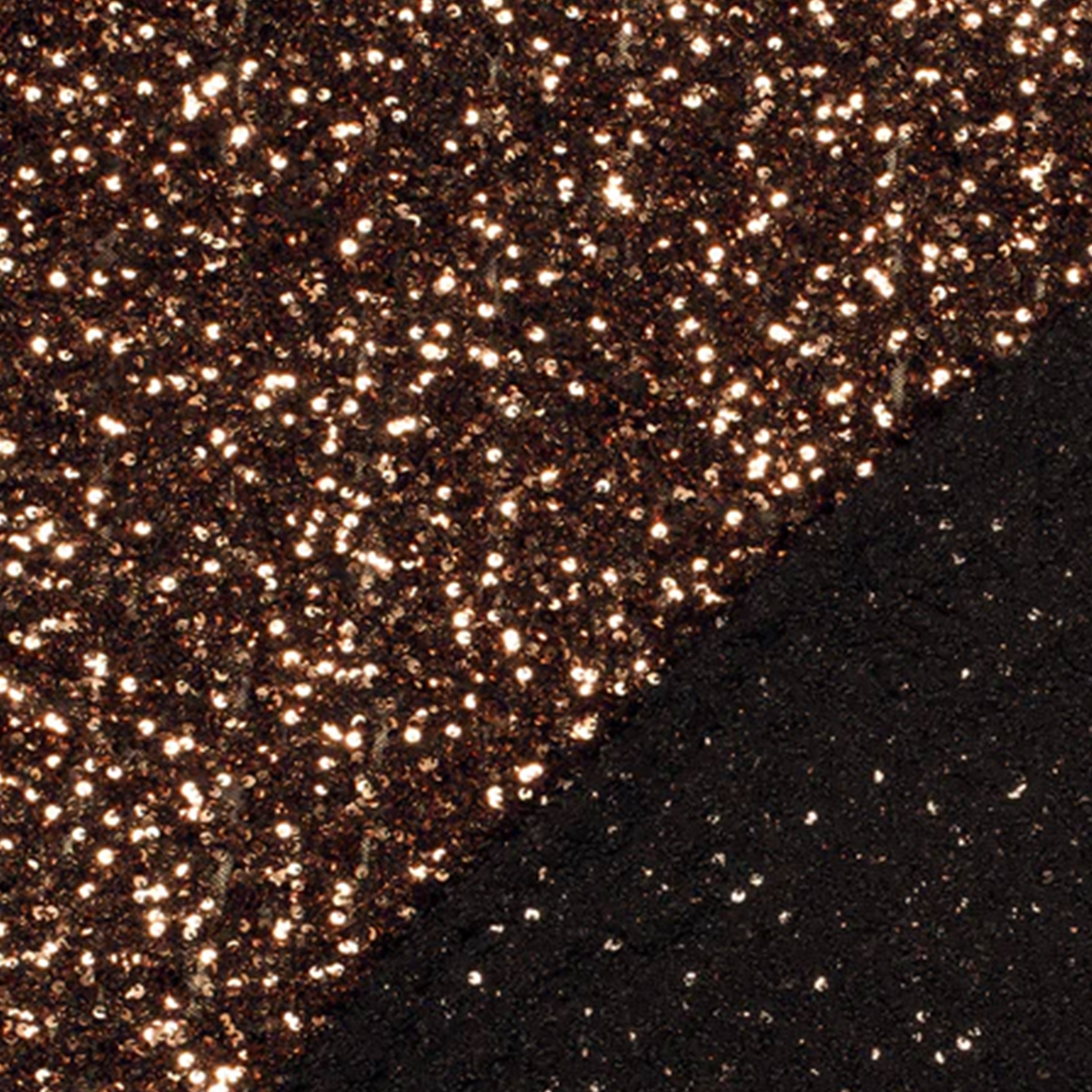 Paillettes su Tulle Elasticizzato Bronzo Image