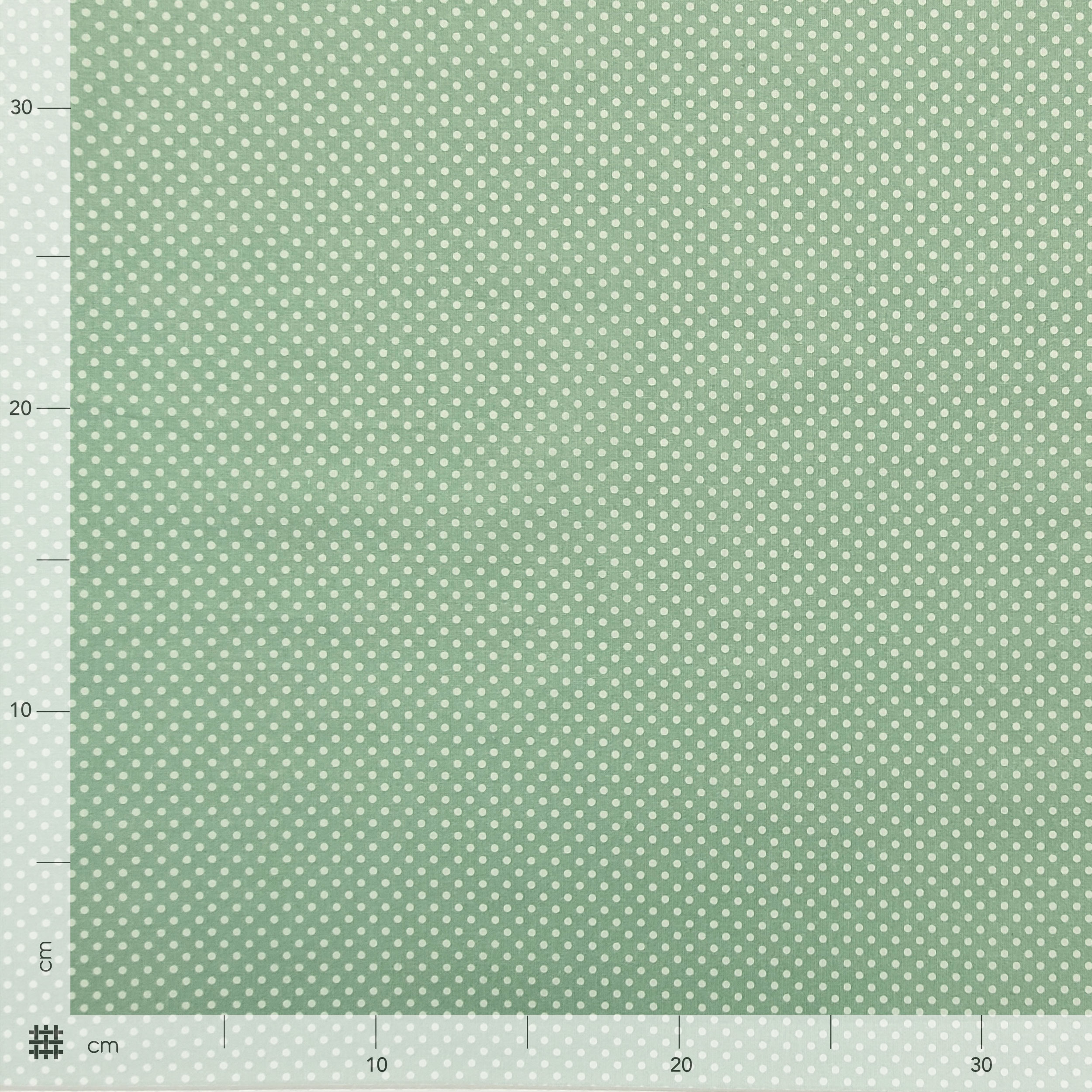Tessuto Cotone Menta Pois Bianchi Image