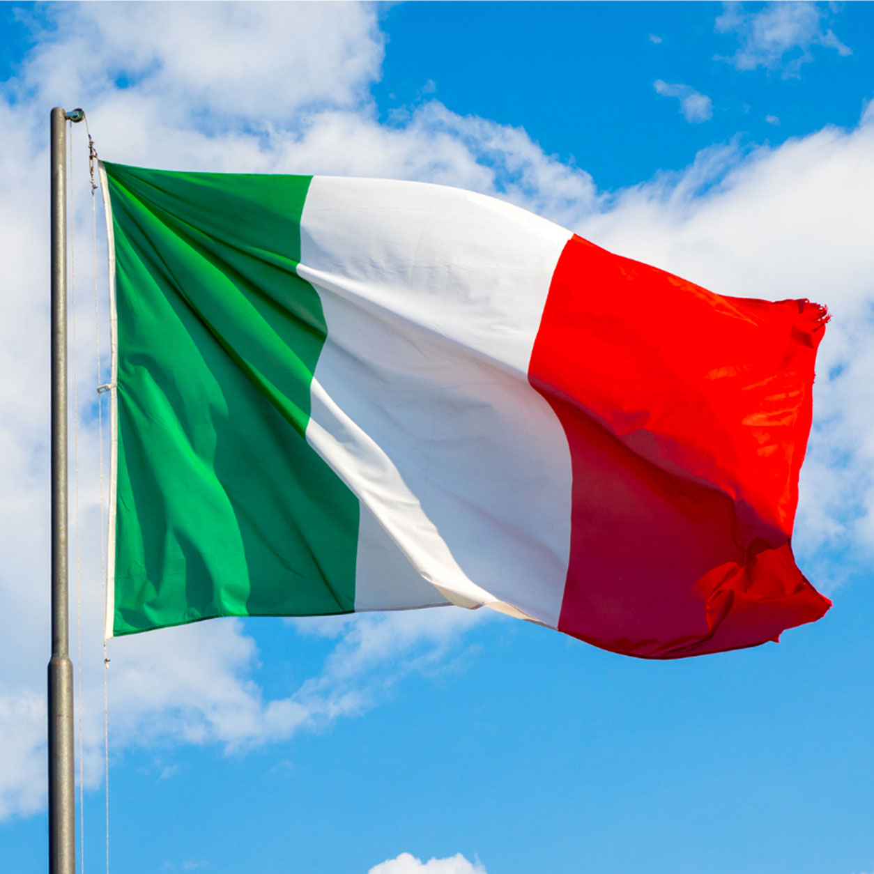 Tessuto fodera stampato bandiera Italia tricolore H. 150cm