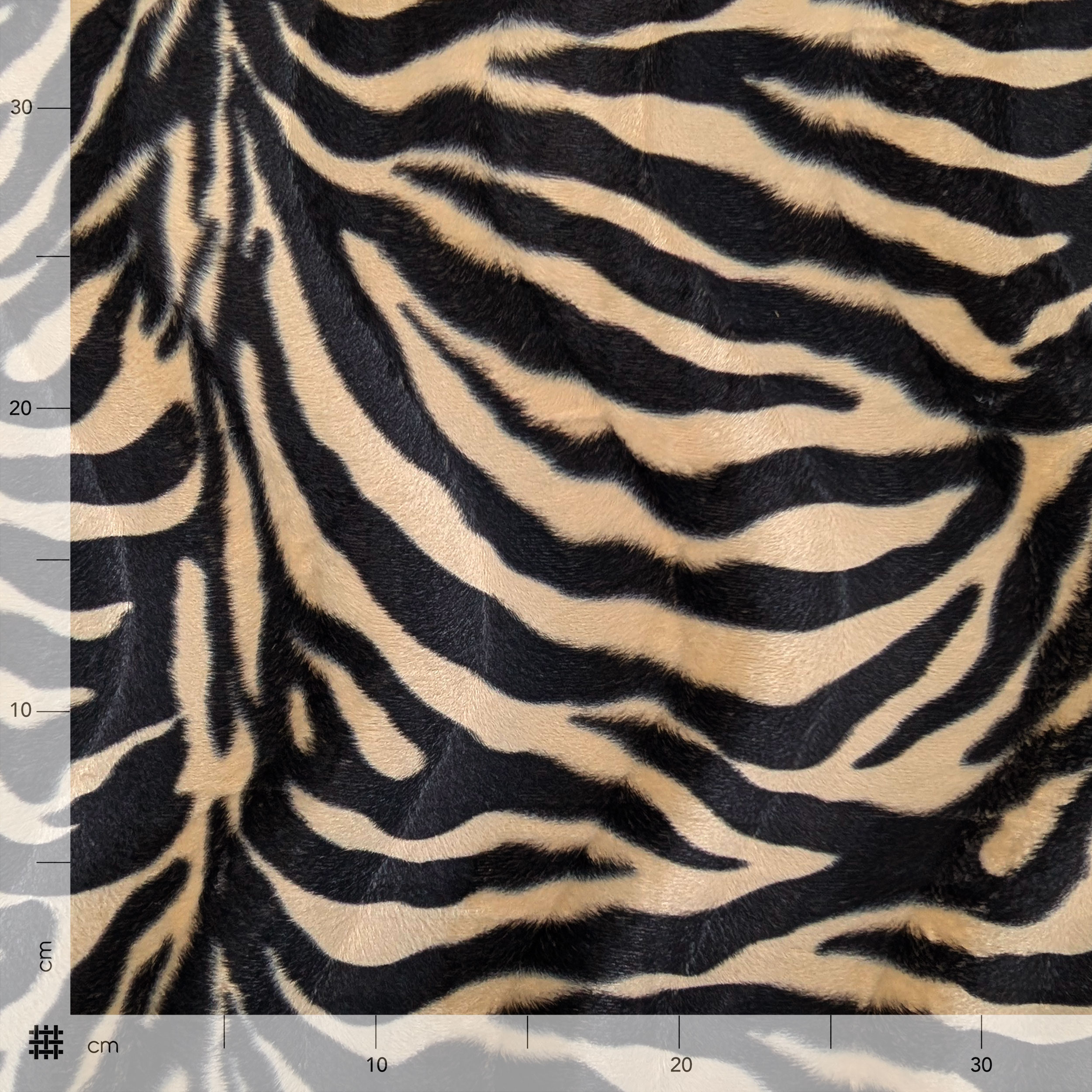 Cavallino Zebrato Marrone  Image