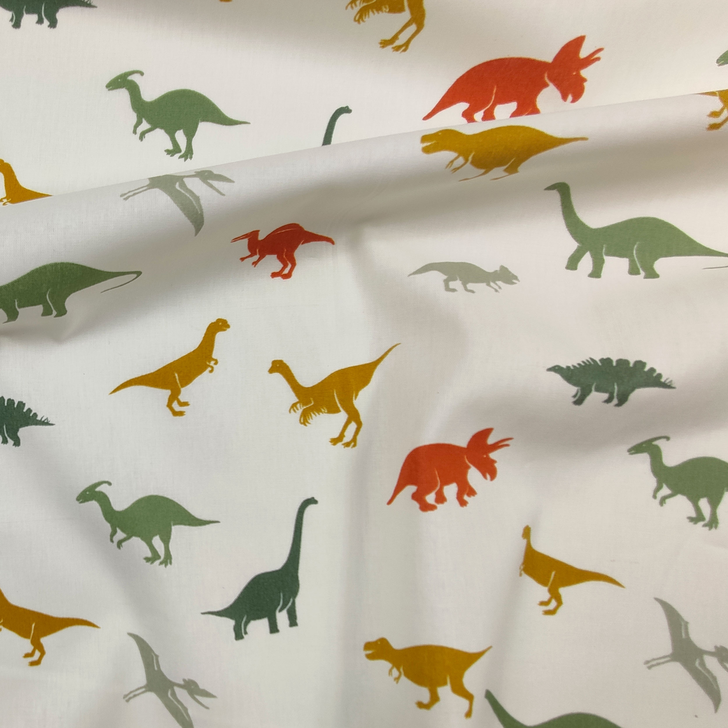 Popeline di Cotone Fantasia Dinosauri Image