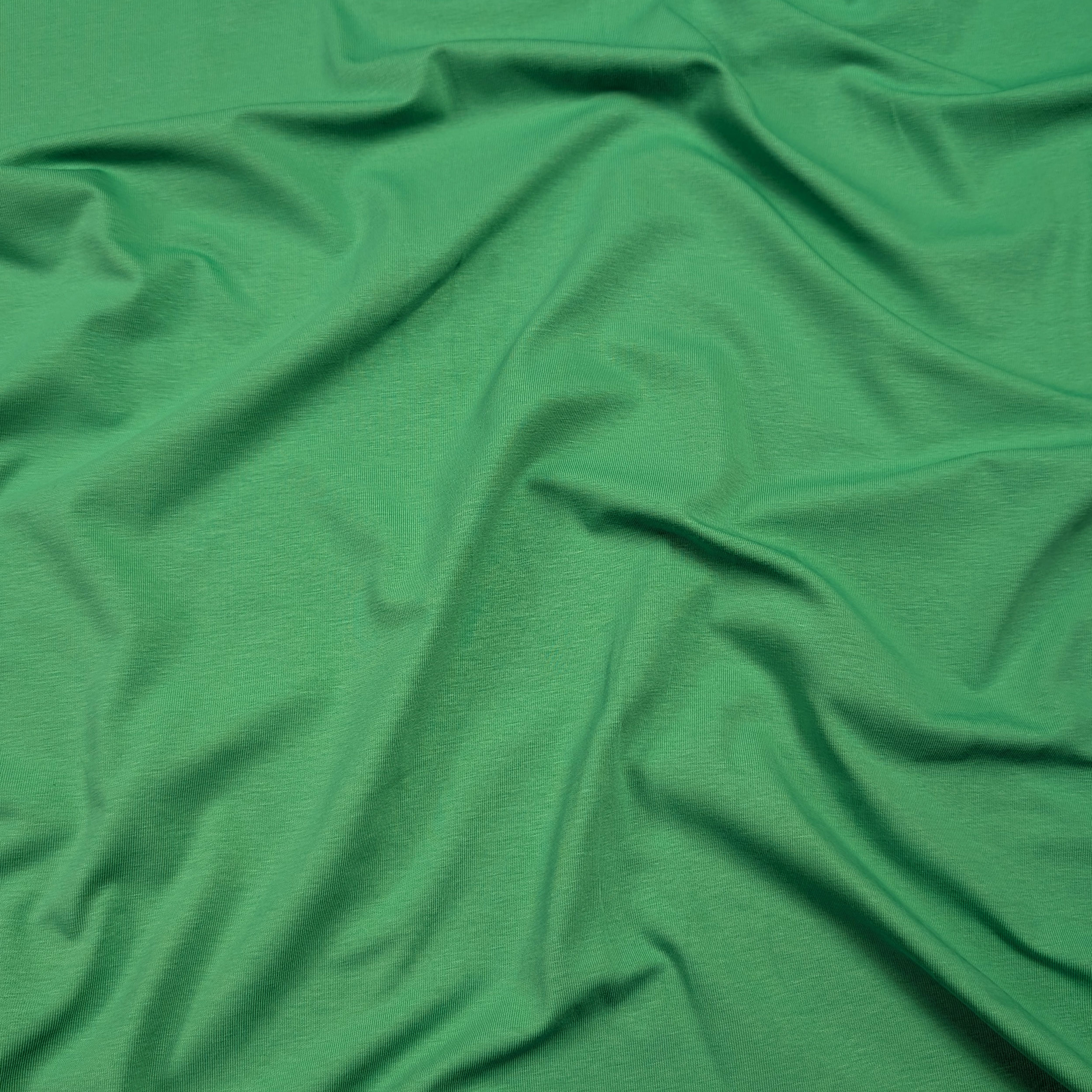 Jersey di Cotone Verdino Image