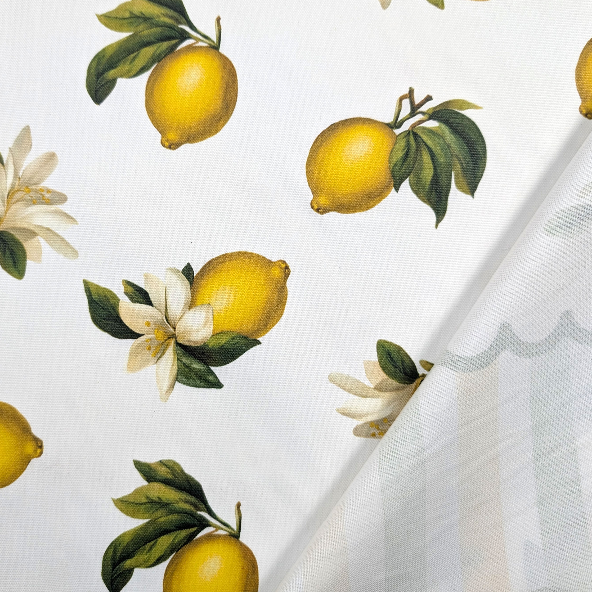 Tessuto per Tovaglia Resinata Limoni Estivi Image