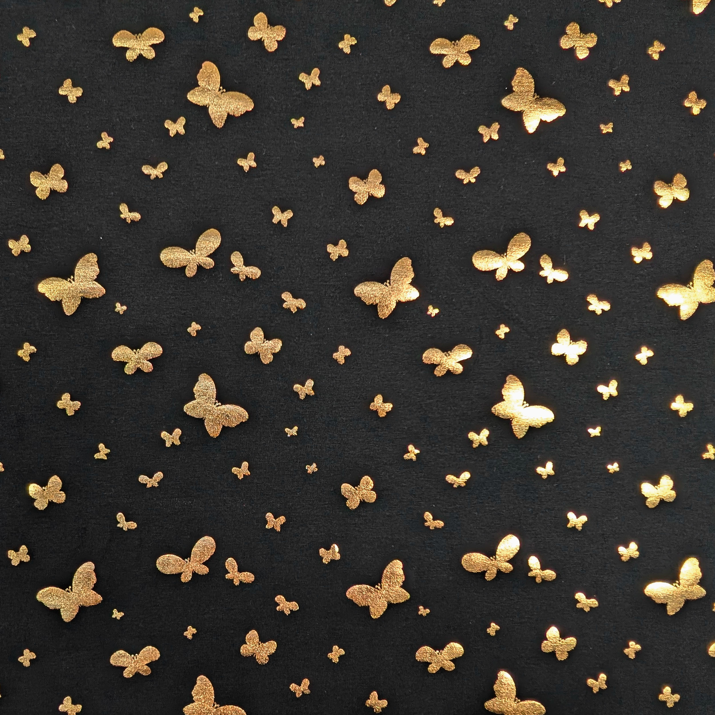 Maglina Cotone Nera Farfalle Oro Image
