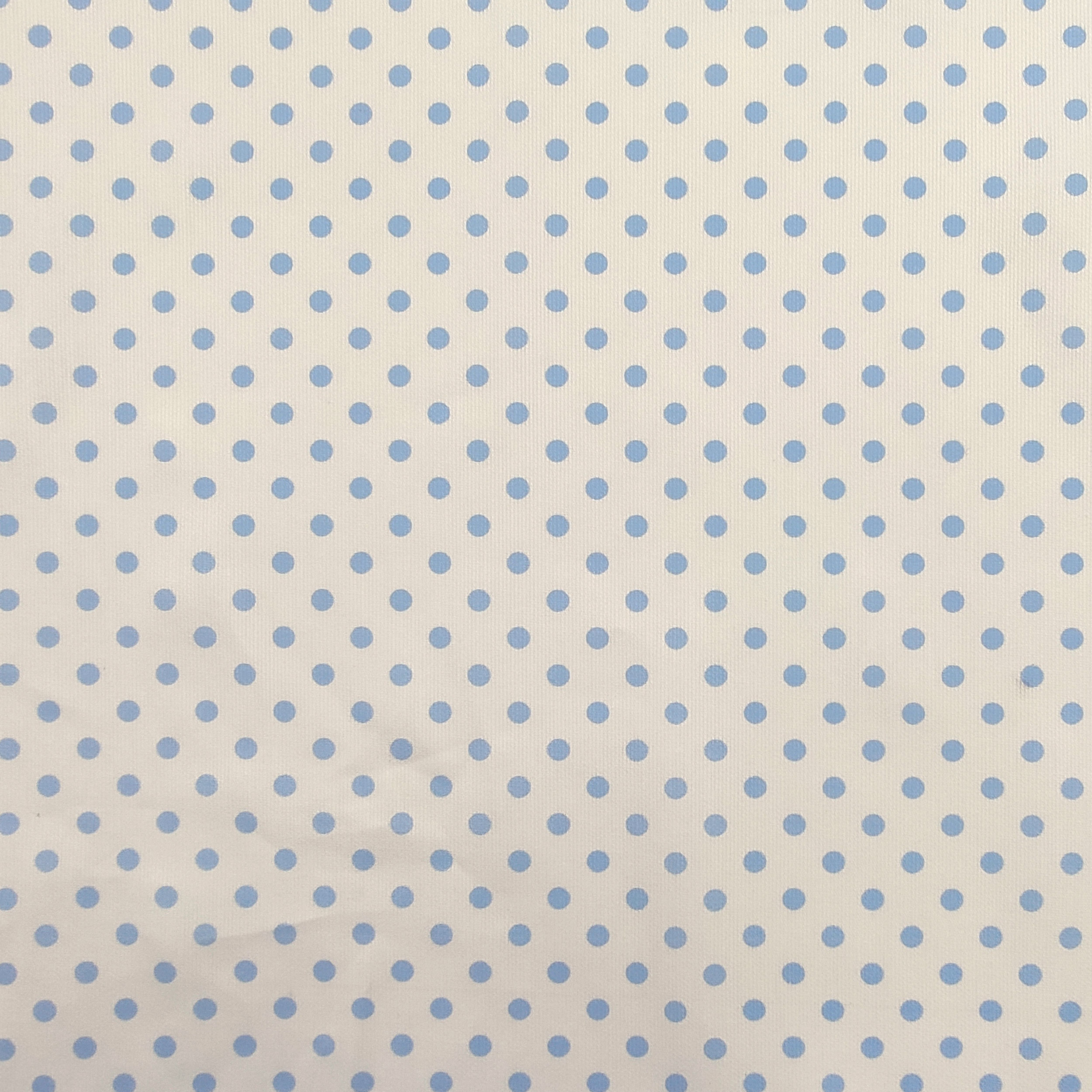 Tessuto Cotone Piquet con Pois Azzurri Image