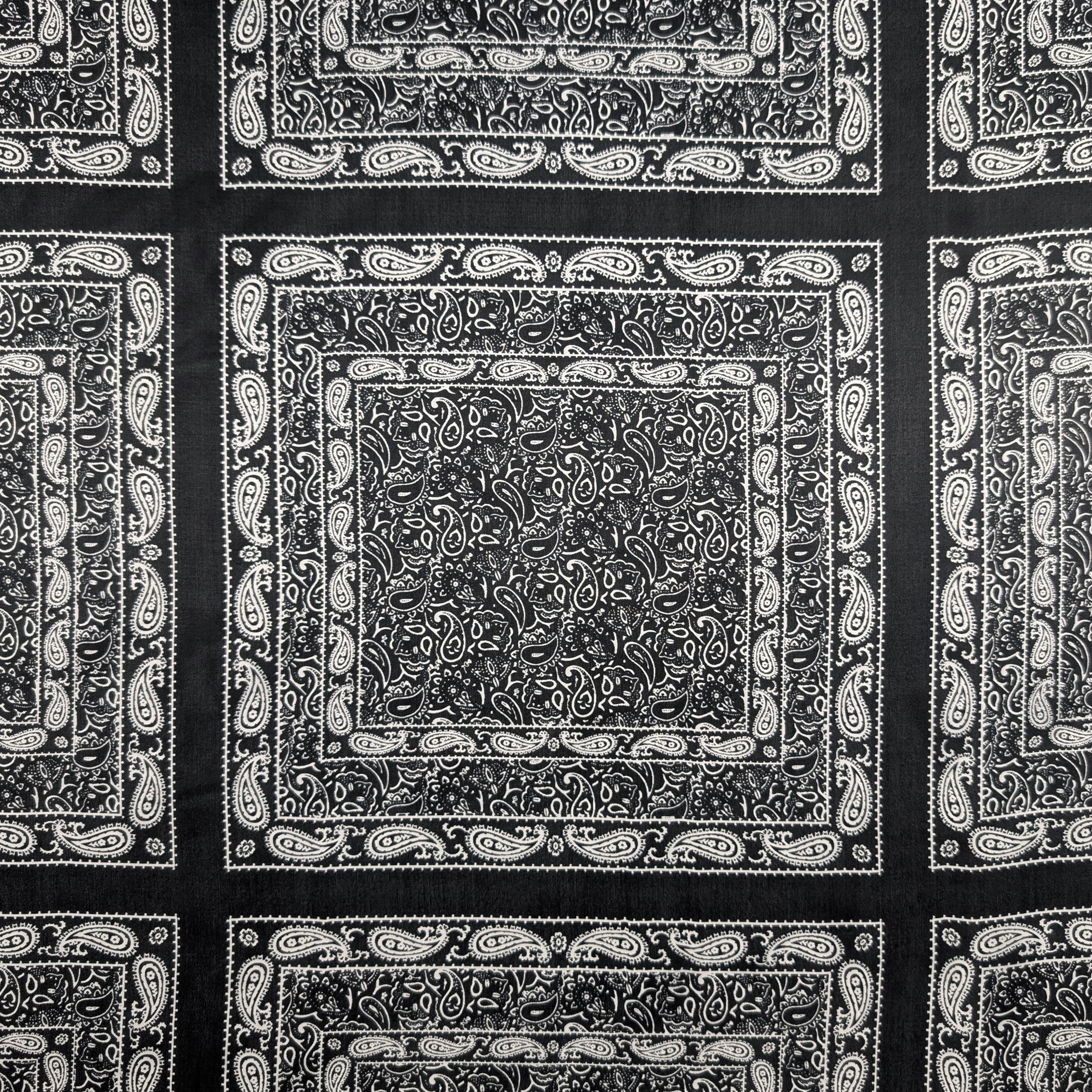 Seta Fantasia Paisley Batik Nero Image