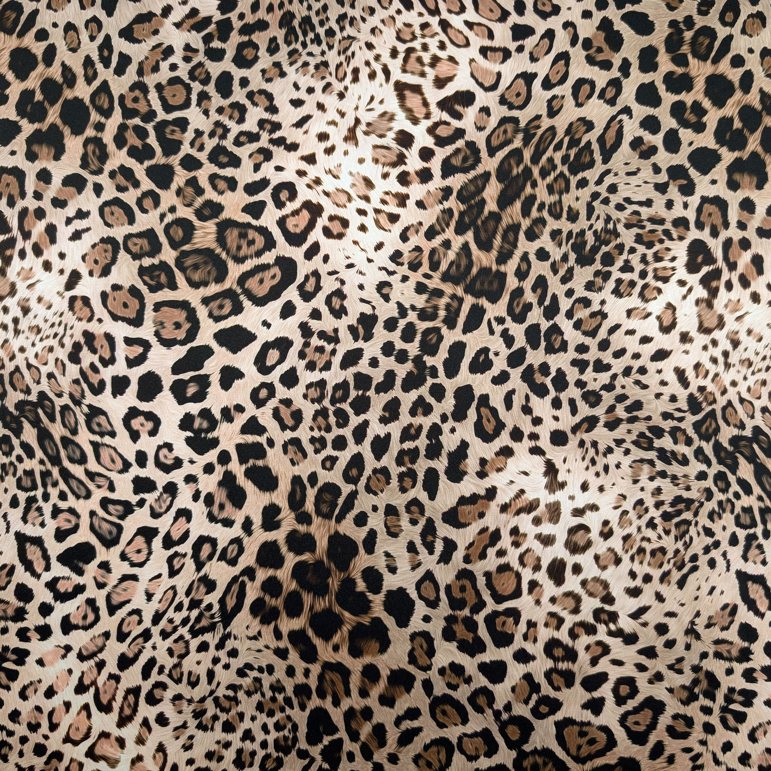 Raso Setato Alta Moda Leopardato Image