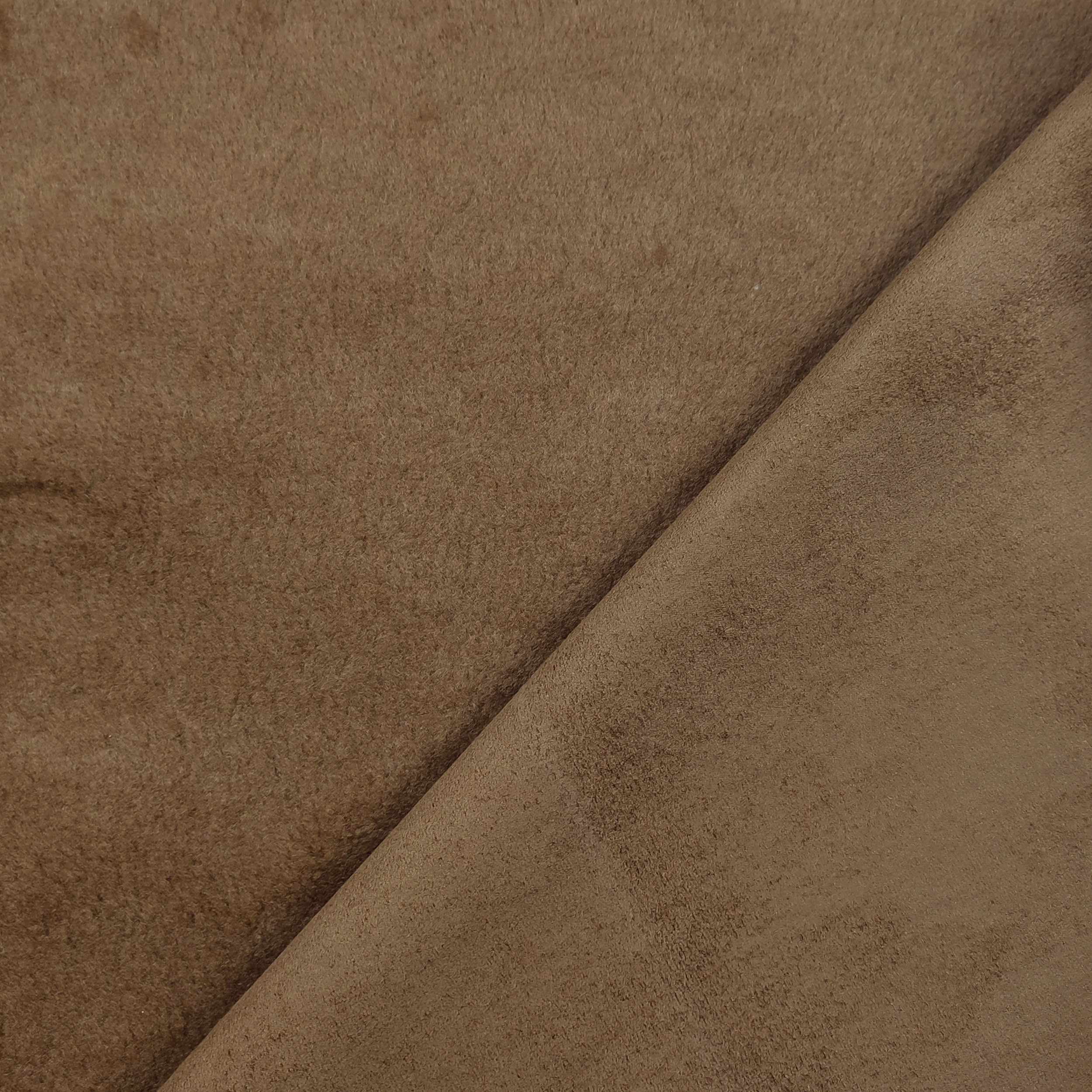 Montone Cammello Image