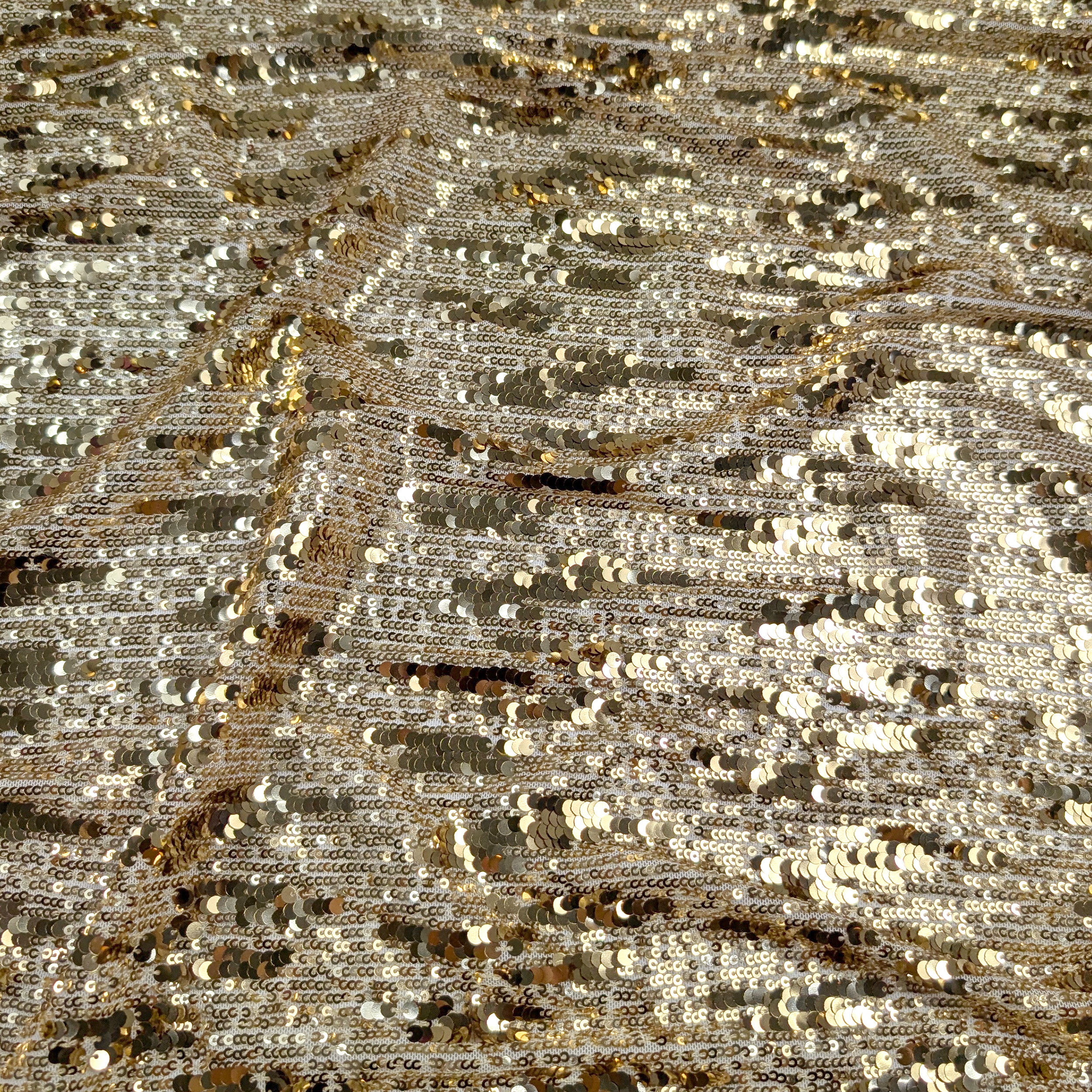 Tessuto Paillettes a Cascata su Tulle Image