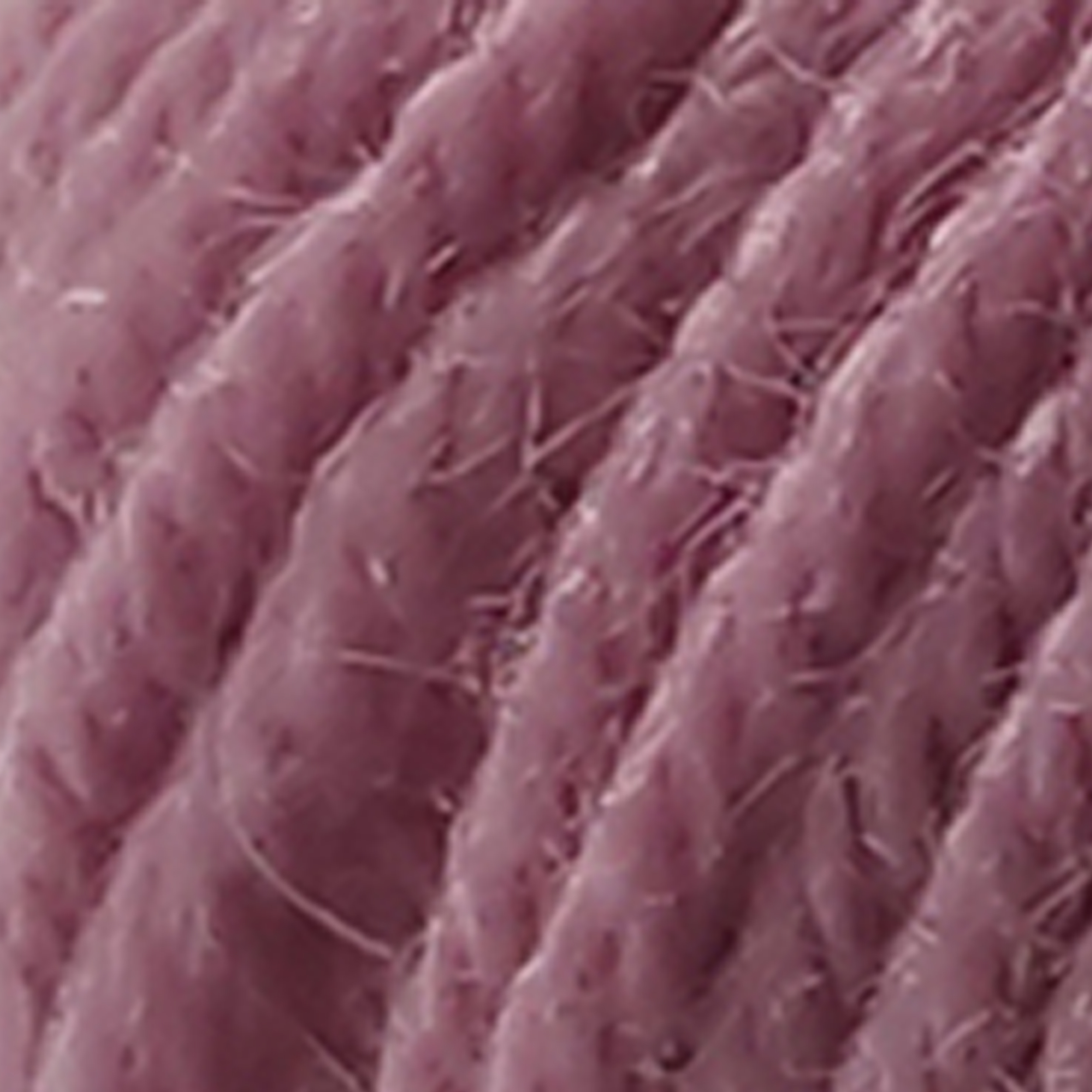 Rosa - 9550