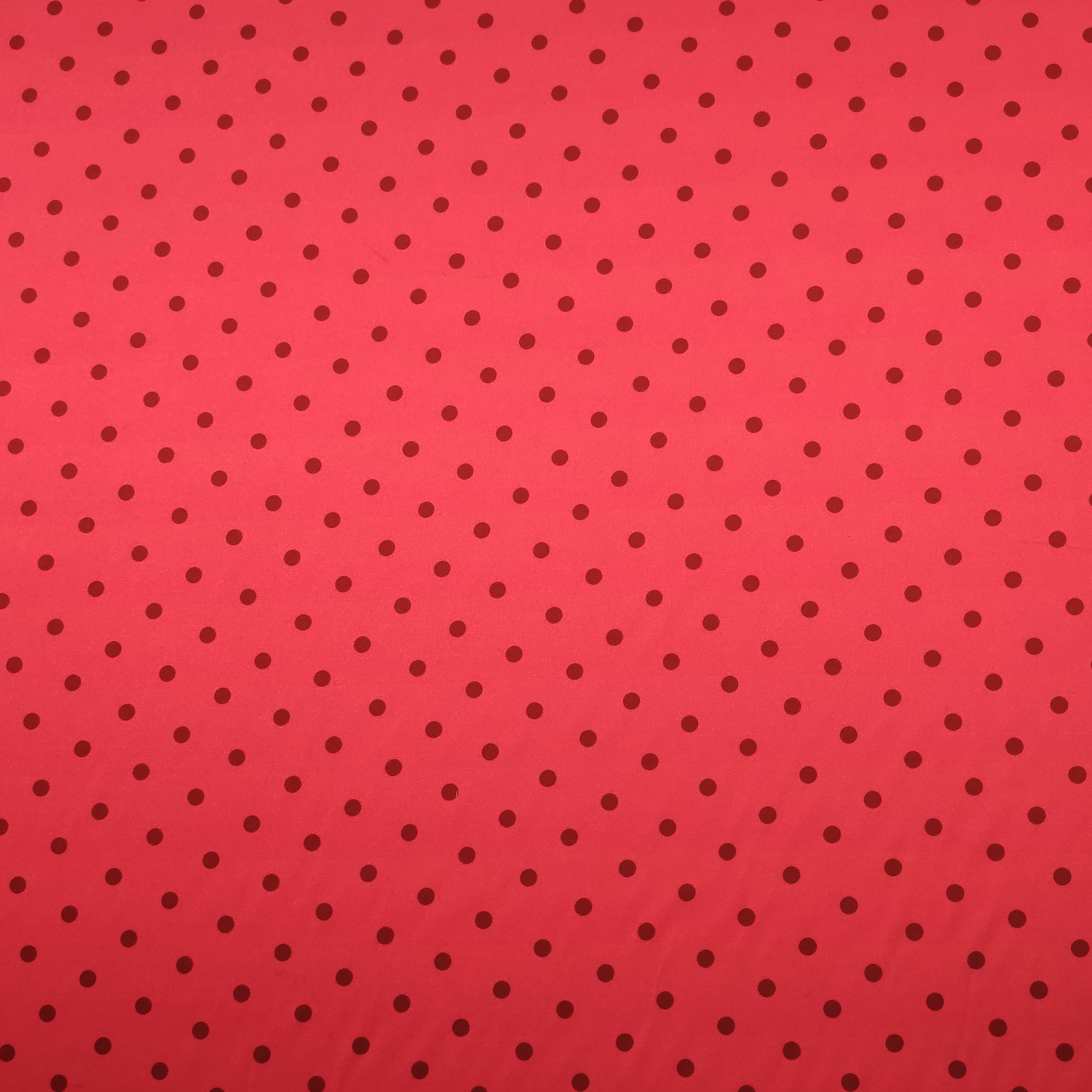 Rasetto Elasticizzato Setato Alta Moda Pois Sfondo Corallo